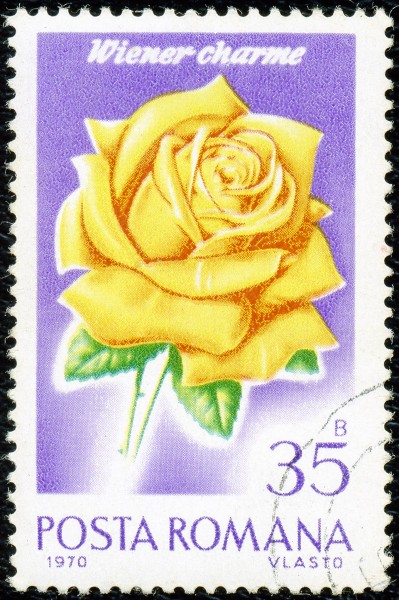 1970. Wiener charme