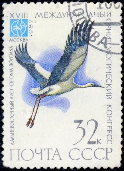 1982. XVII международный орнитологический конгресс. Дальневосточный аист