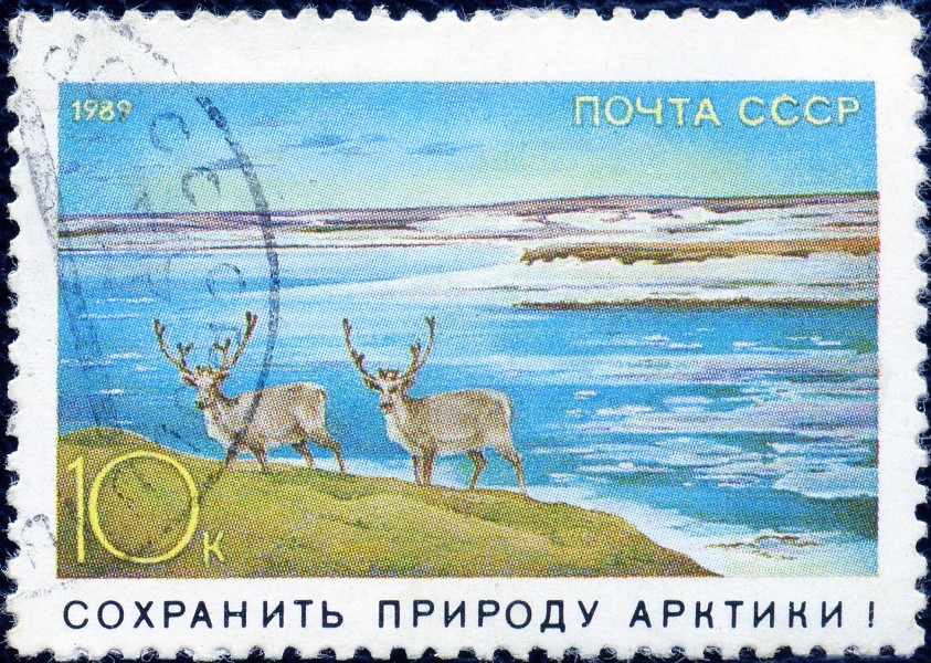 1989. Сохранить природу Арктики