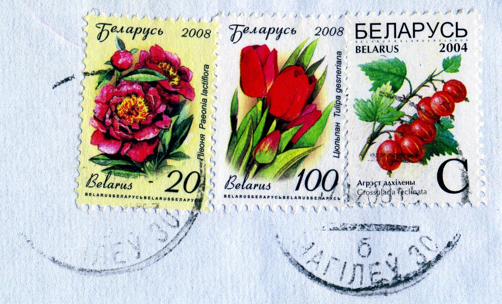 3 марки Белоруссии со штемпелем Могилёва