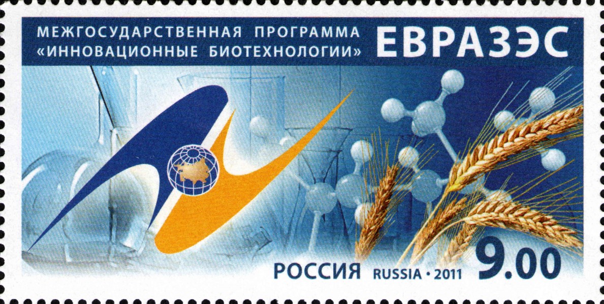 Stamp of Russia 2011 No 1528