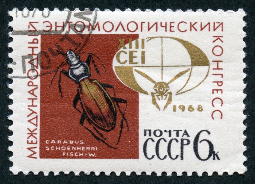 The Soviet Union 1968 CPA 3634 stamp (13th International Entomological Congress (1968, Moscow). Ground Beetle (Carabus schoenherri) and Emblem) cancelled