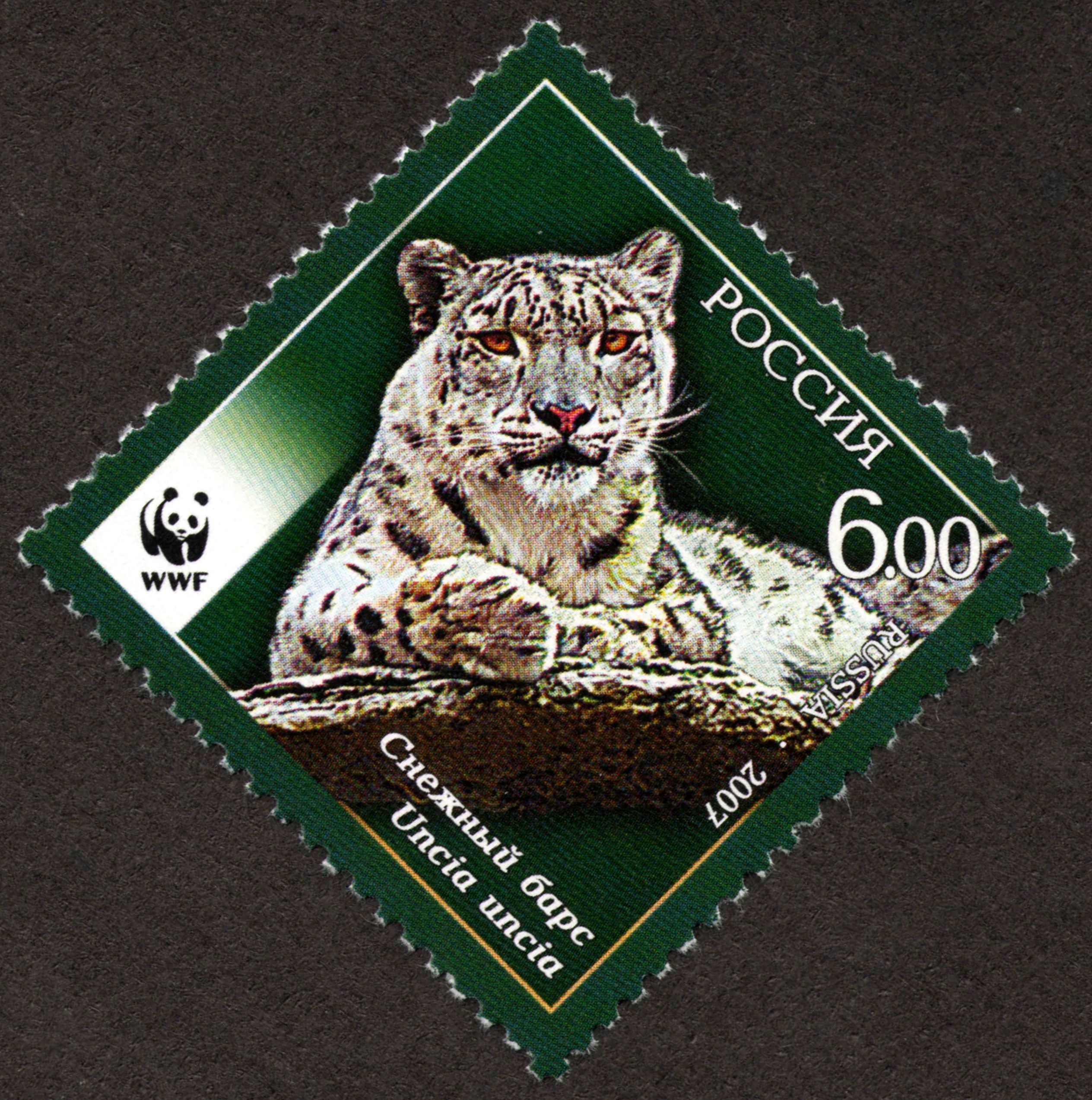 Stamp of Russia 2007 No 1203