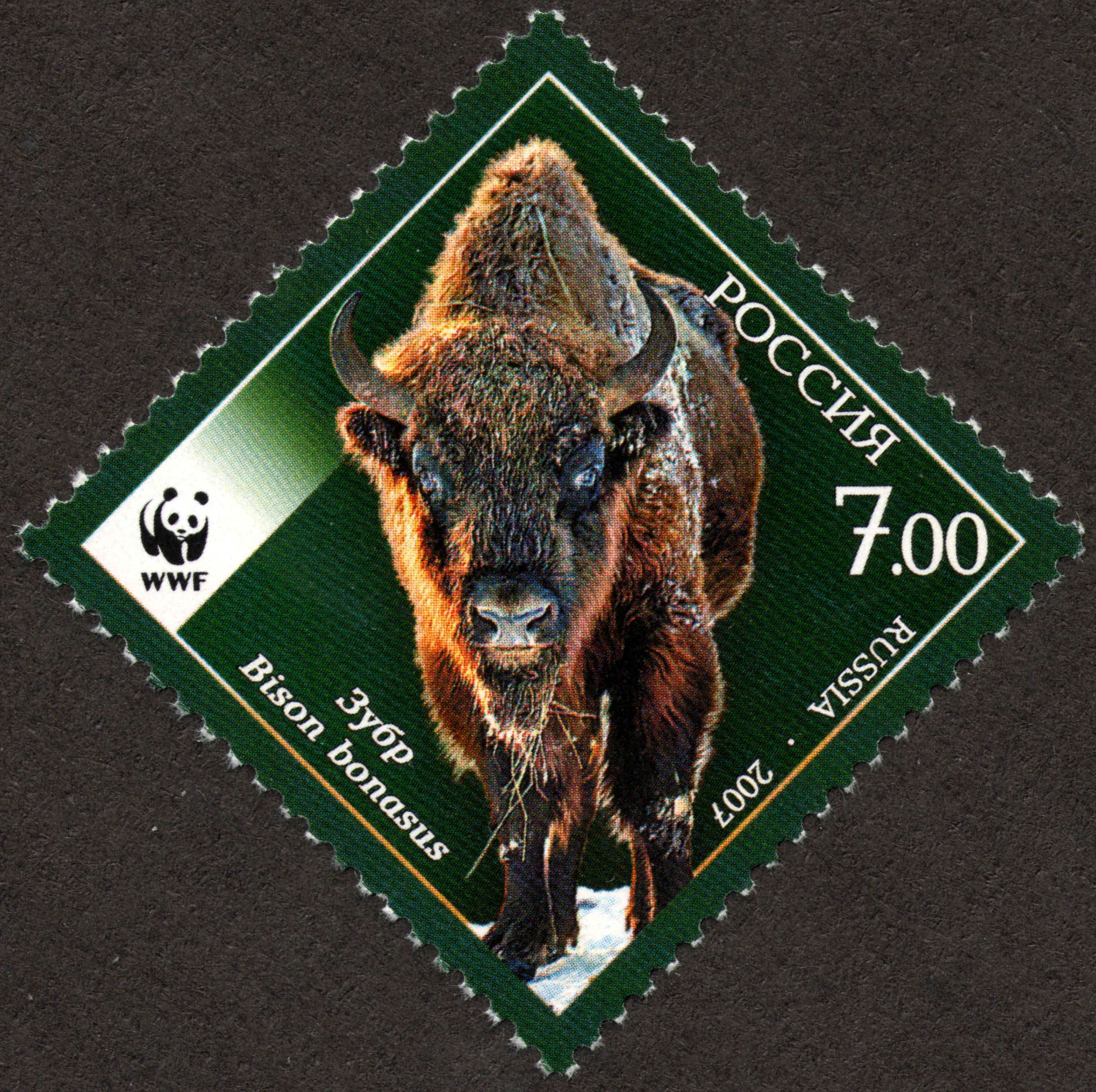 Stamp of Russia 2007 No 1204