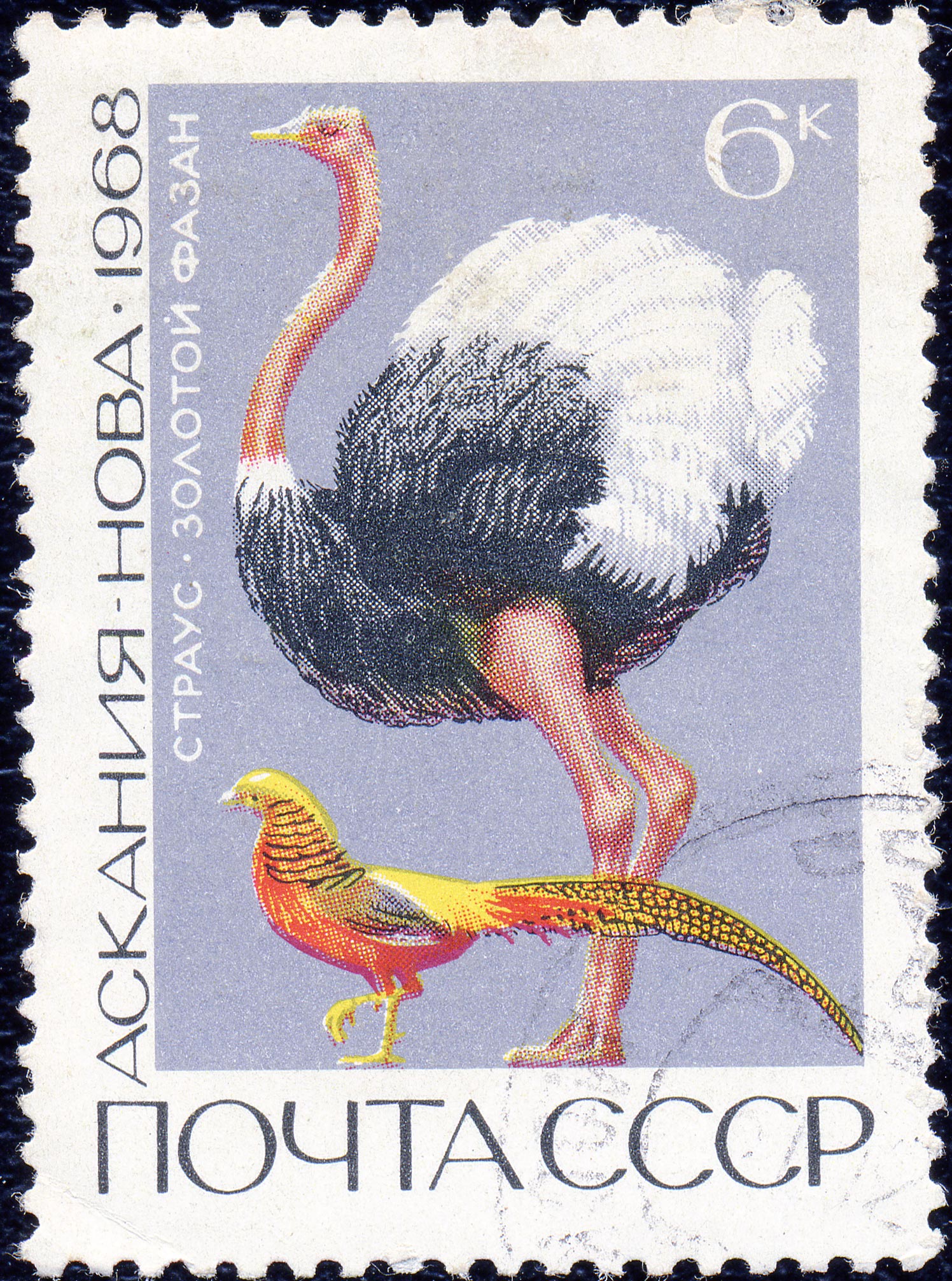 The Soviet Union 1968 CPA 3678 stamp (Ostrich and Golden Pheasant (Askania-Nova)) cancelled light