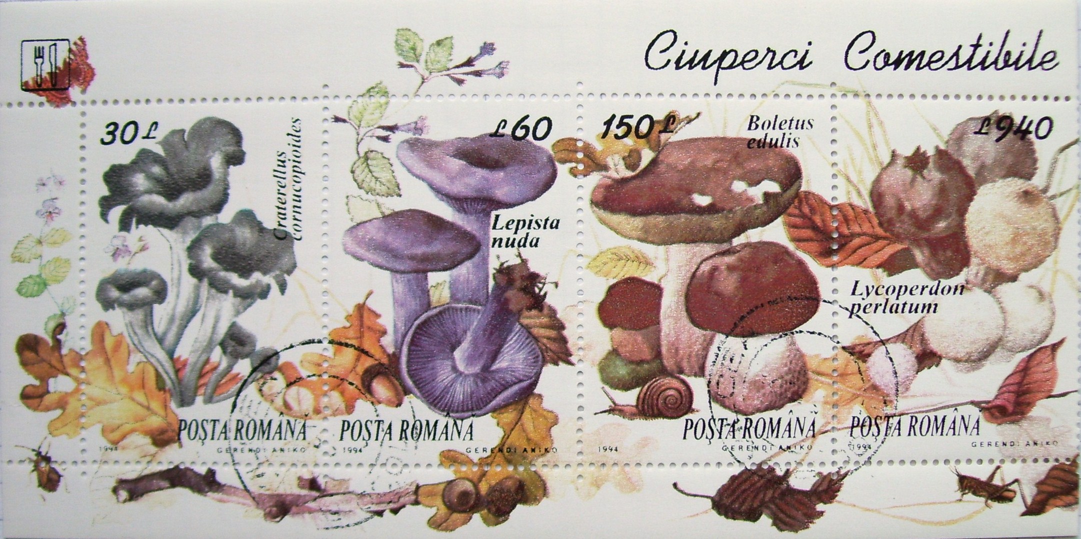 Timbre ciuperci comestibile