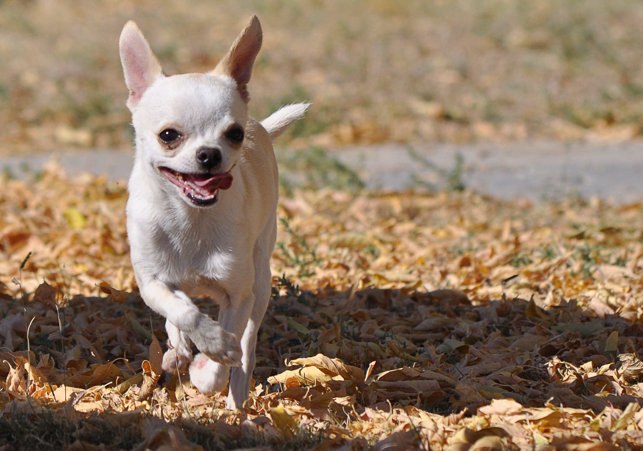 0h, running Bucky