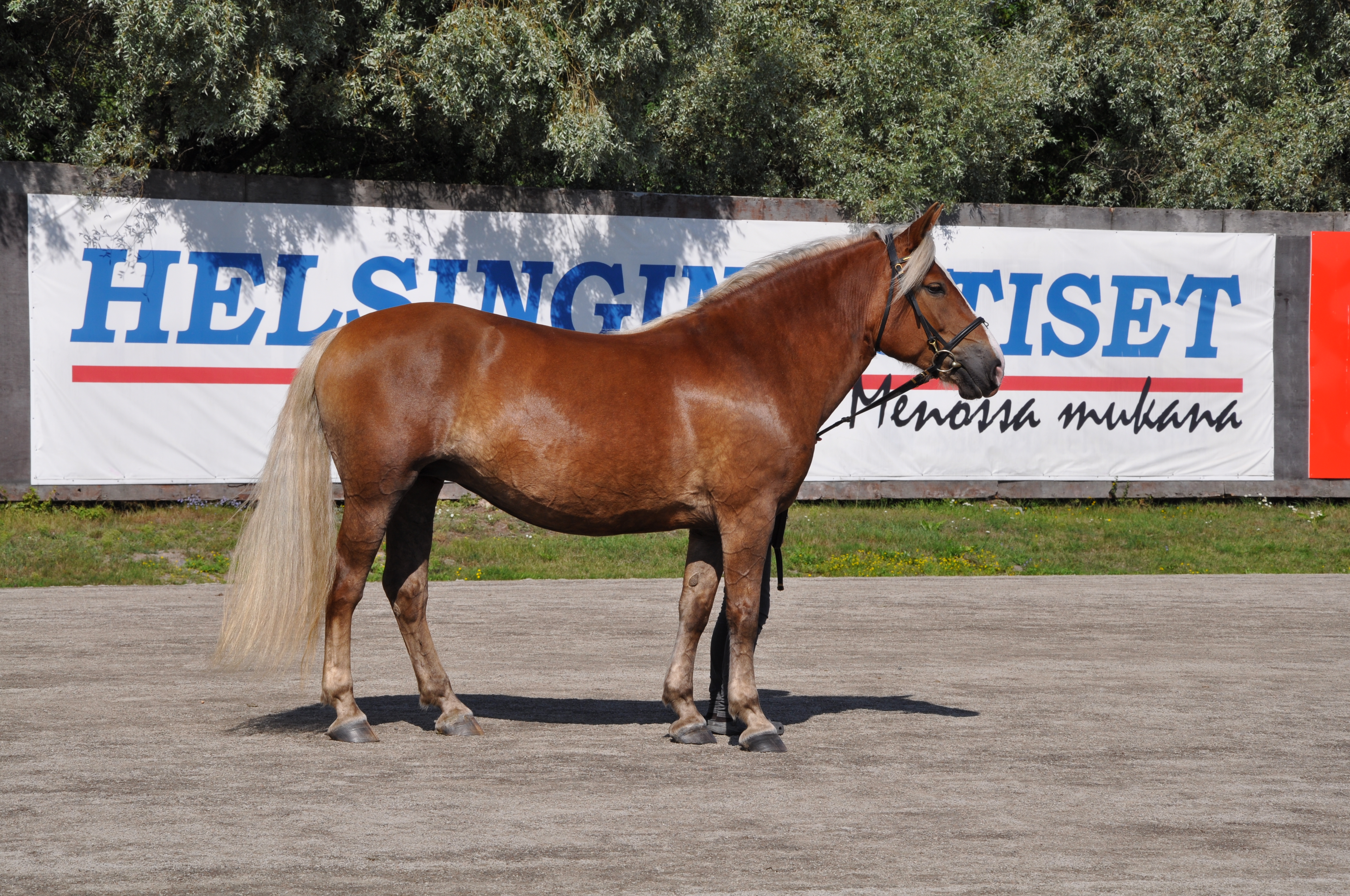 139 t Millin Onneli 05