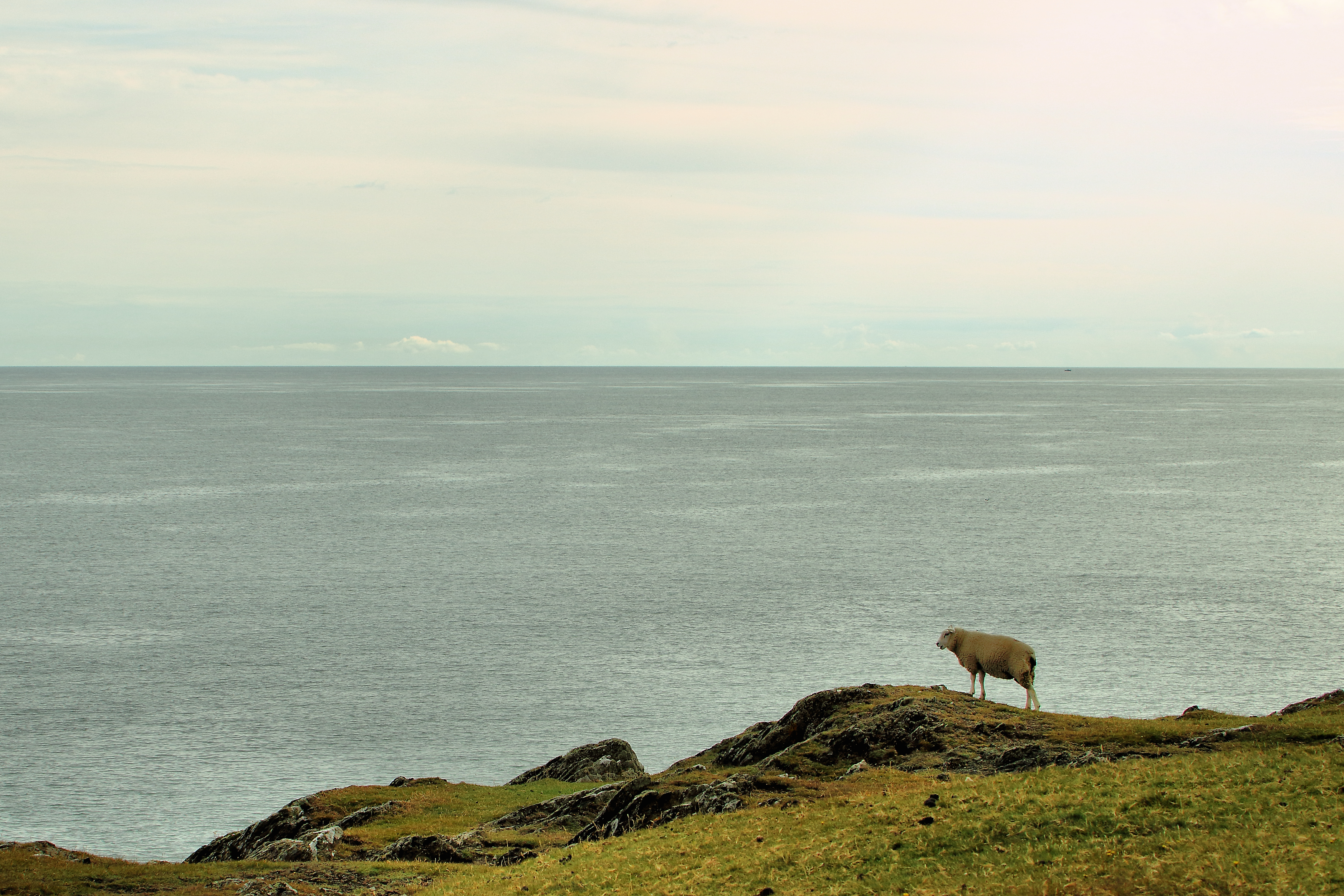 Anglesey 2015 - Holiday (23631499746)