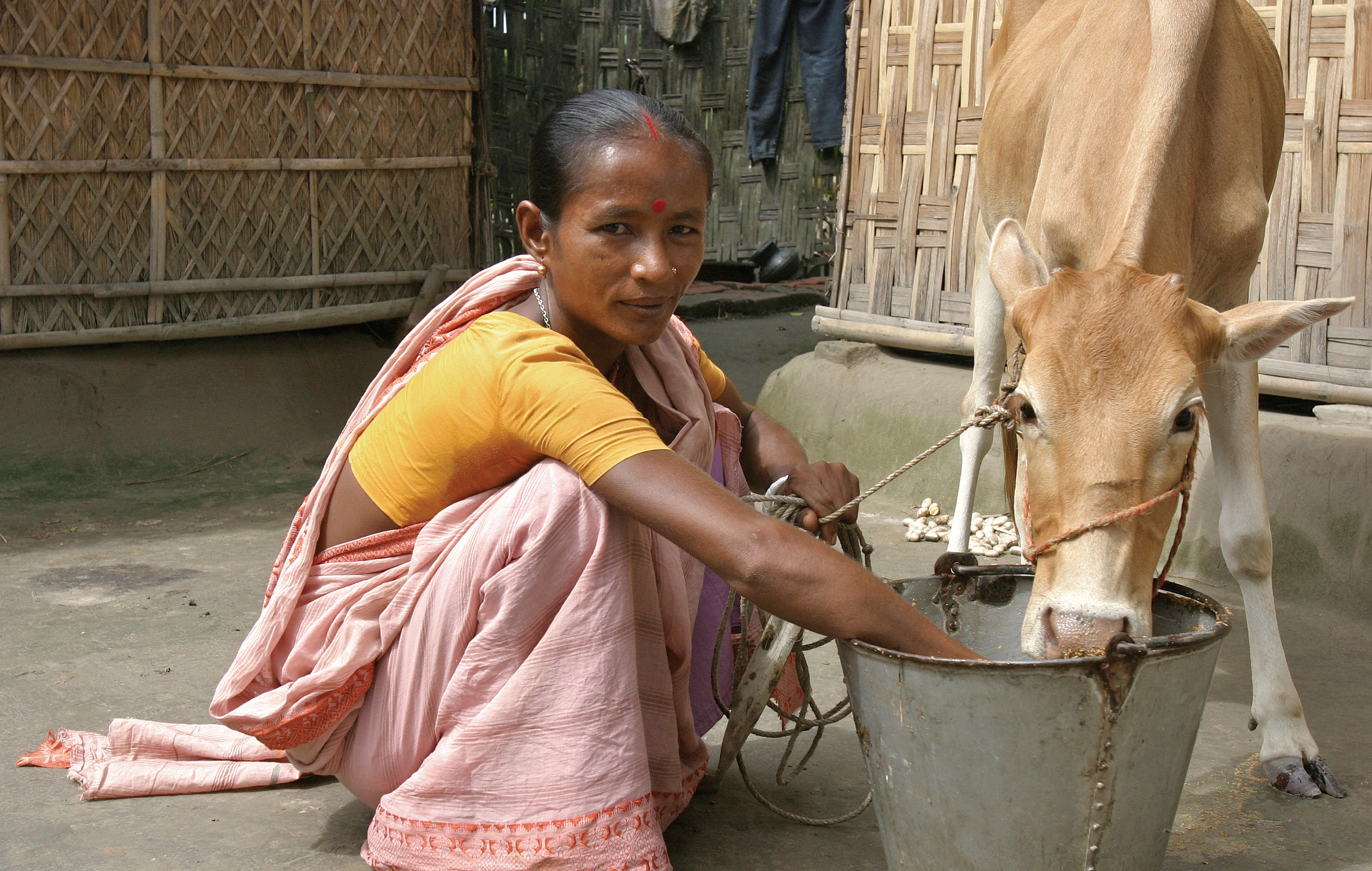 Bangladesh microfinance (10676772556)
