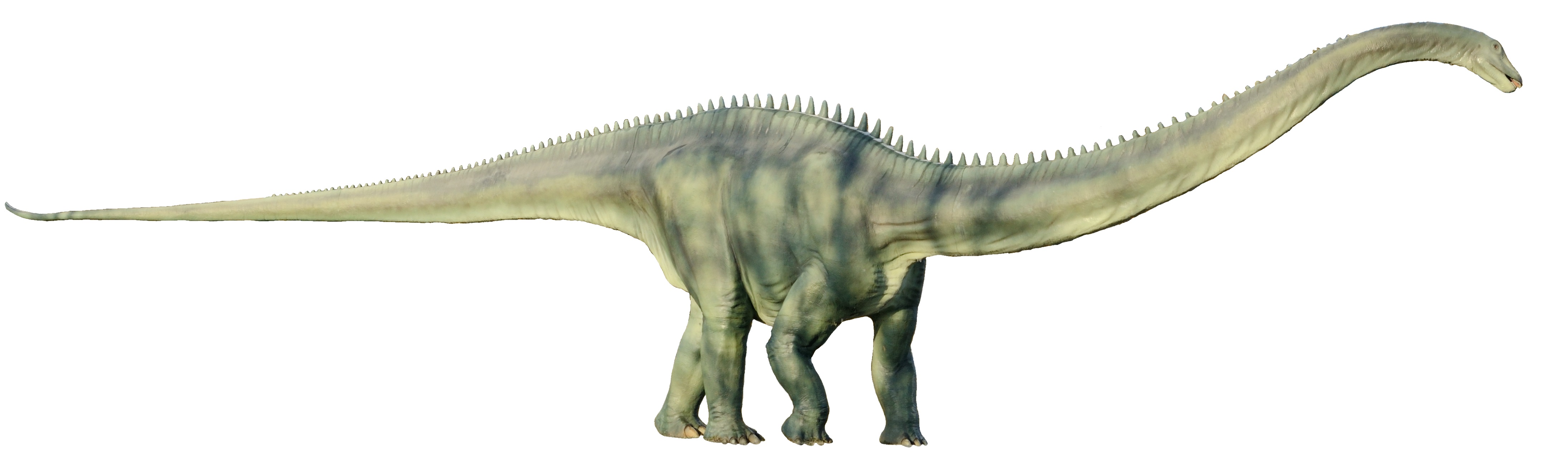 Basel - Bruderholz Dinosaurier1 white background