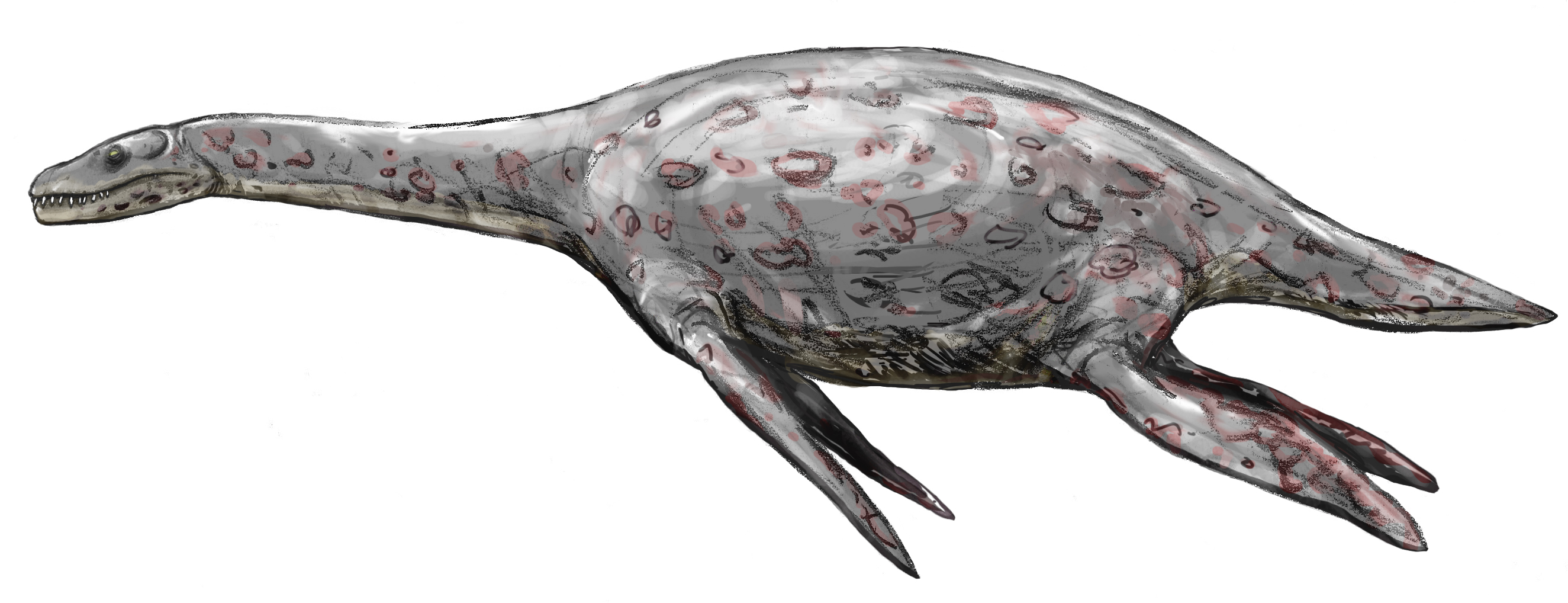 Bishanopliosaurus