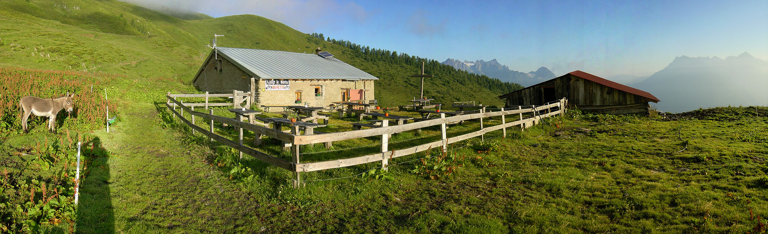 Bovine high mountain pasture - panoramio