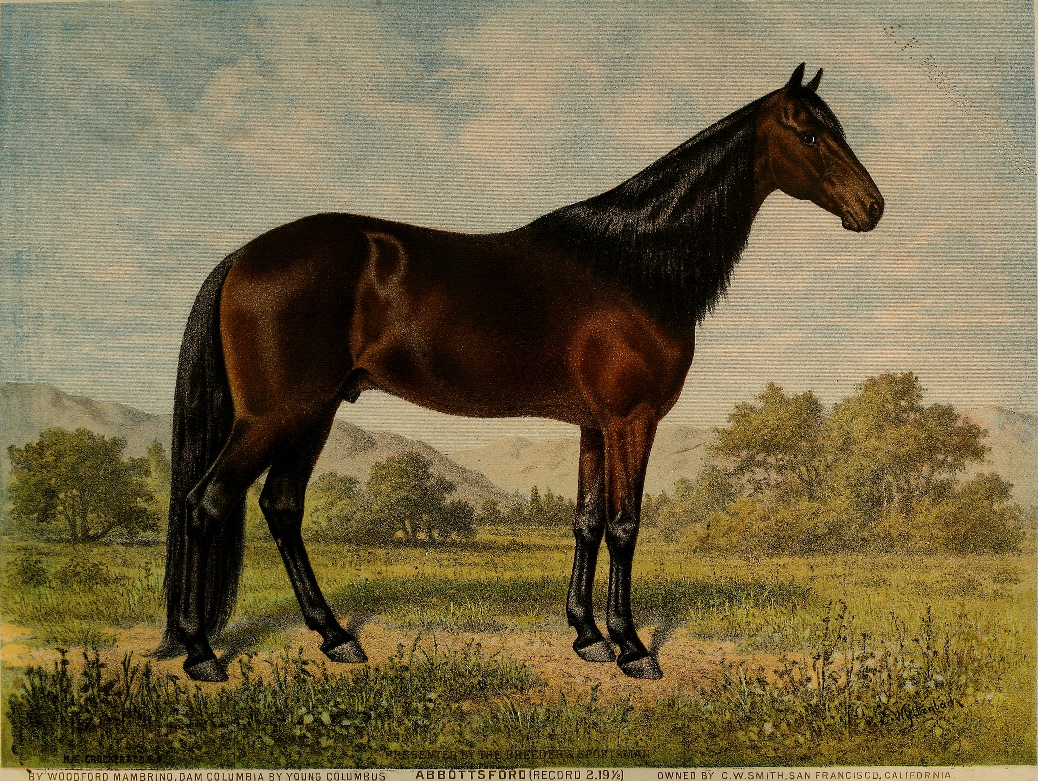 Breeder and sportsman (1883) (19790870013)
