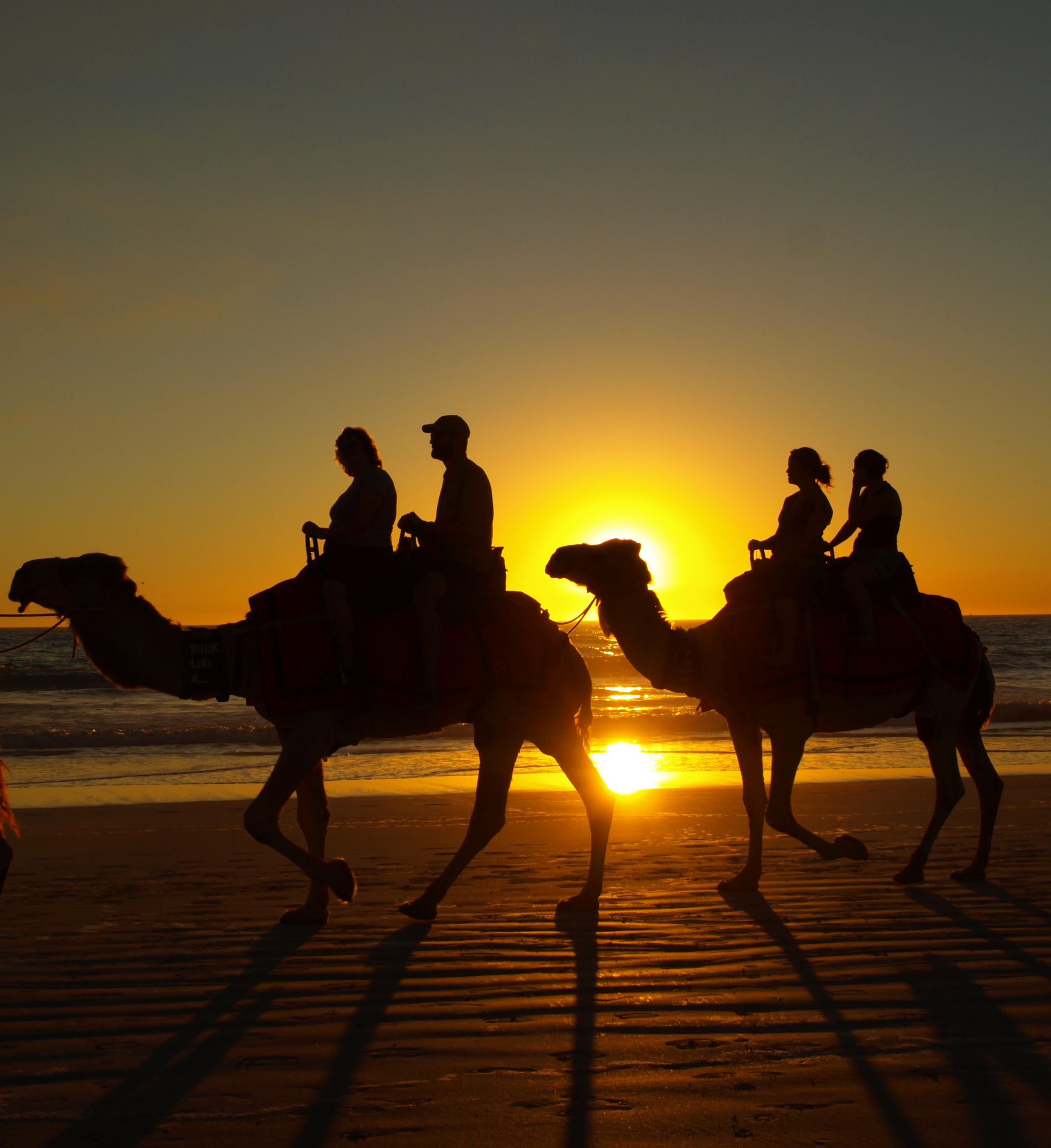 Cable Beach Sunset Camel Ride