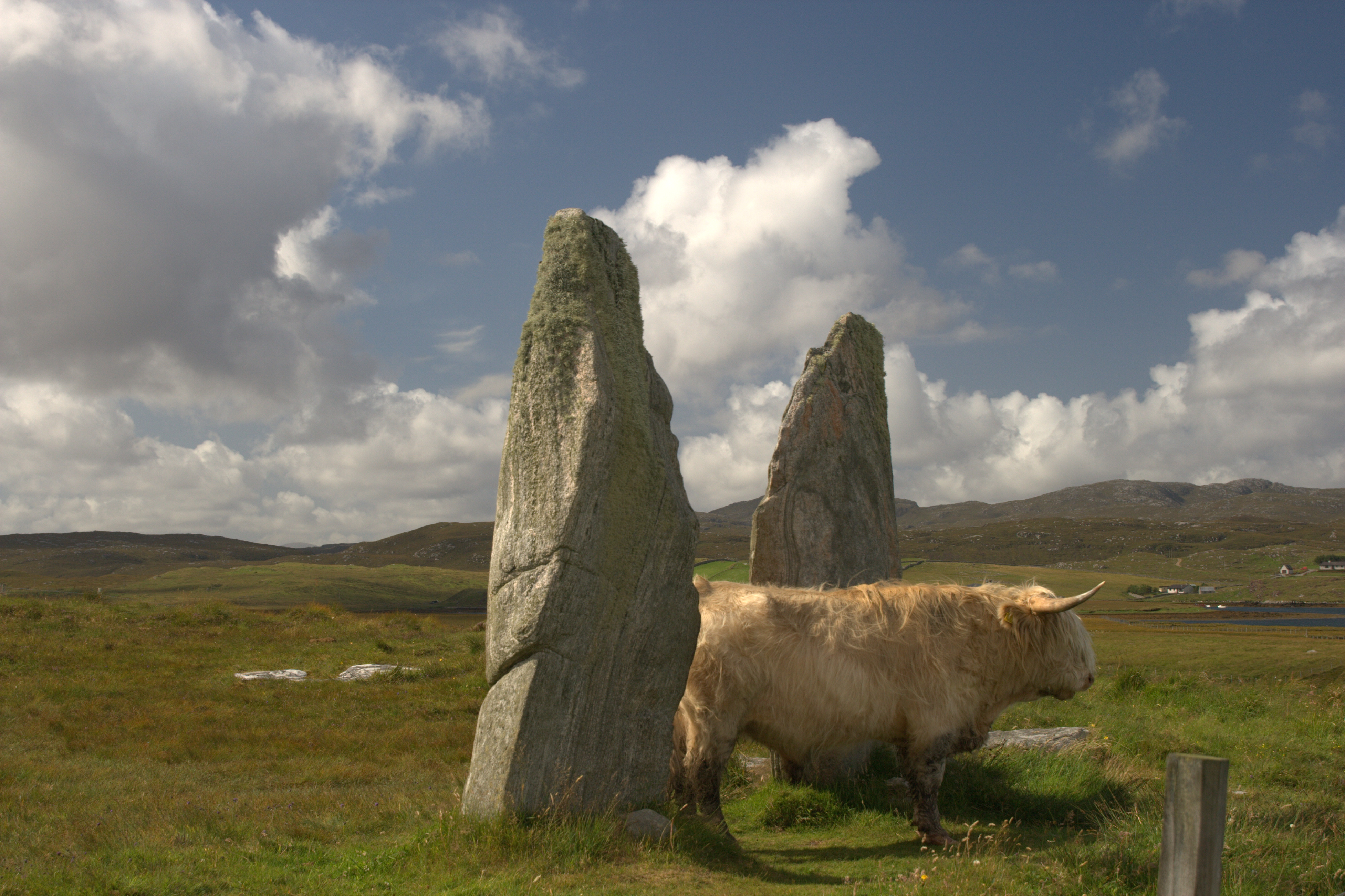 Callanish II rockdetail