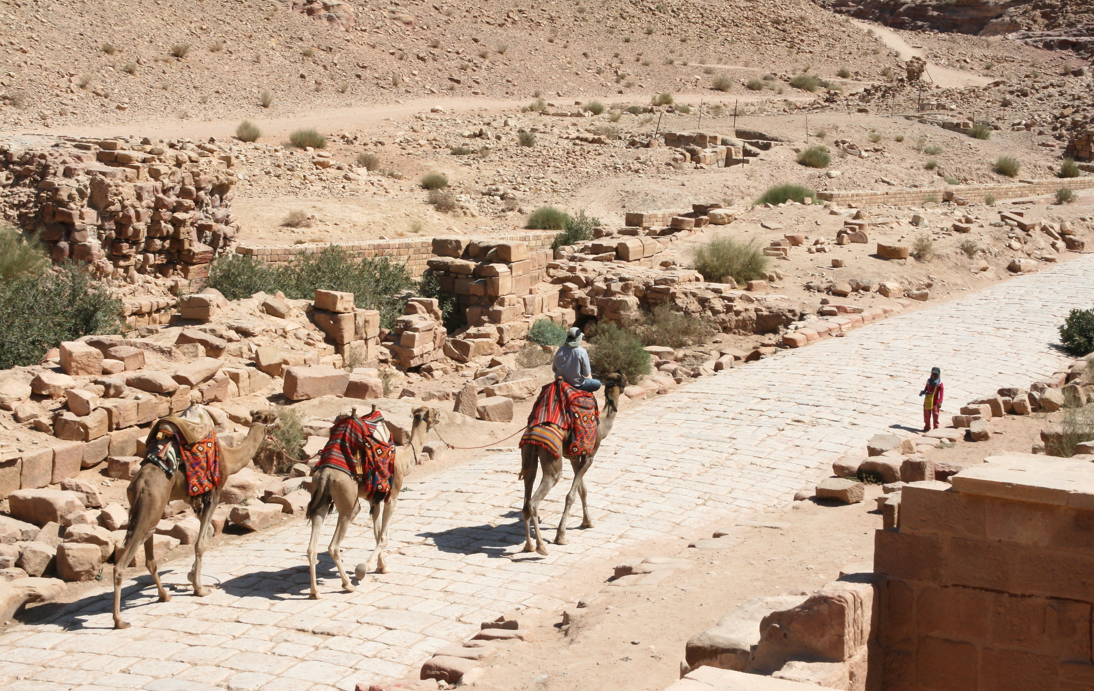Cardo maximus, Petra, Jordan1