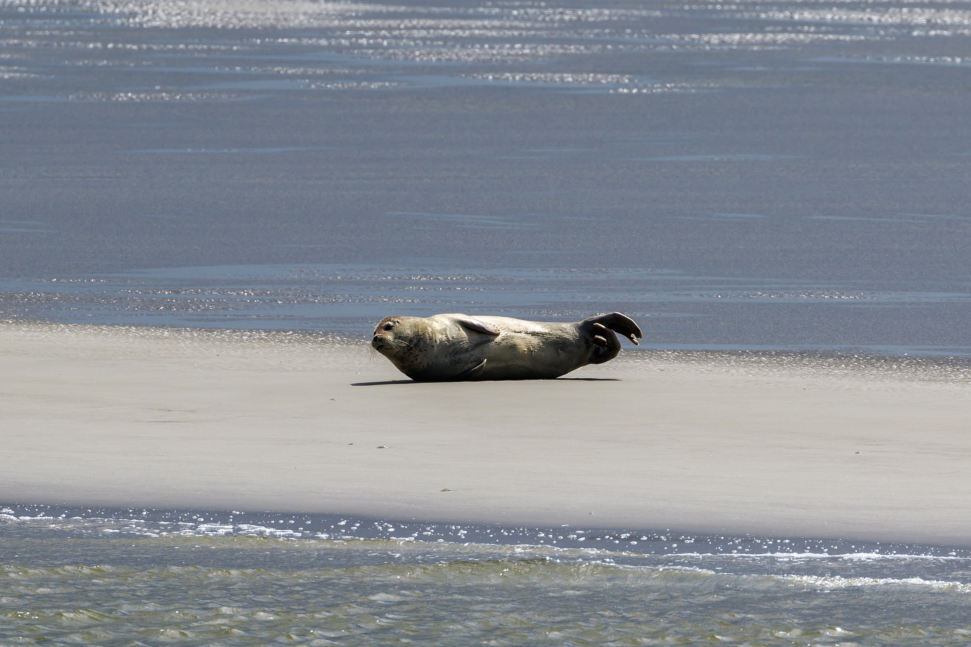 Cuxhaven 07-2016 photo30 Outer Elbe
