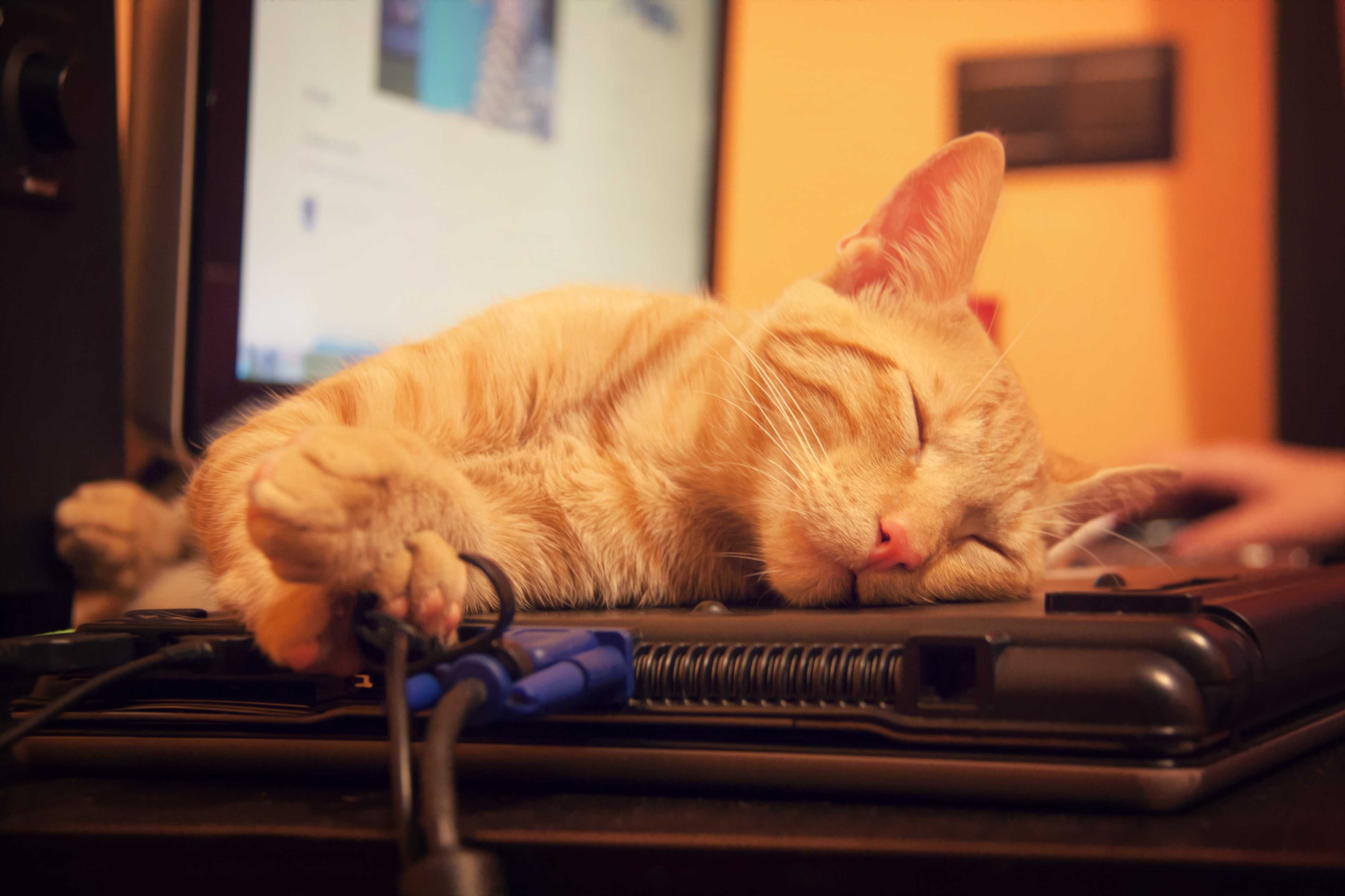 Durmiendo (9335708270)
