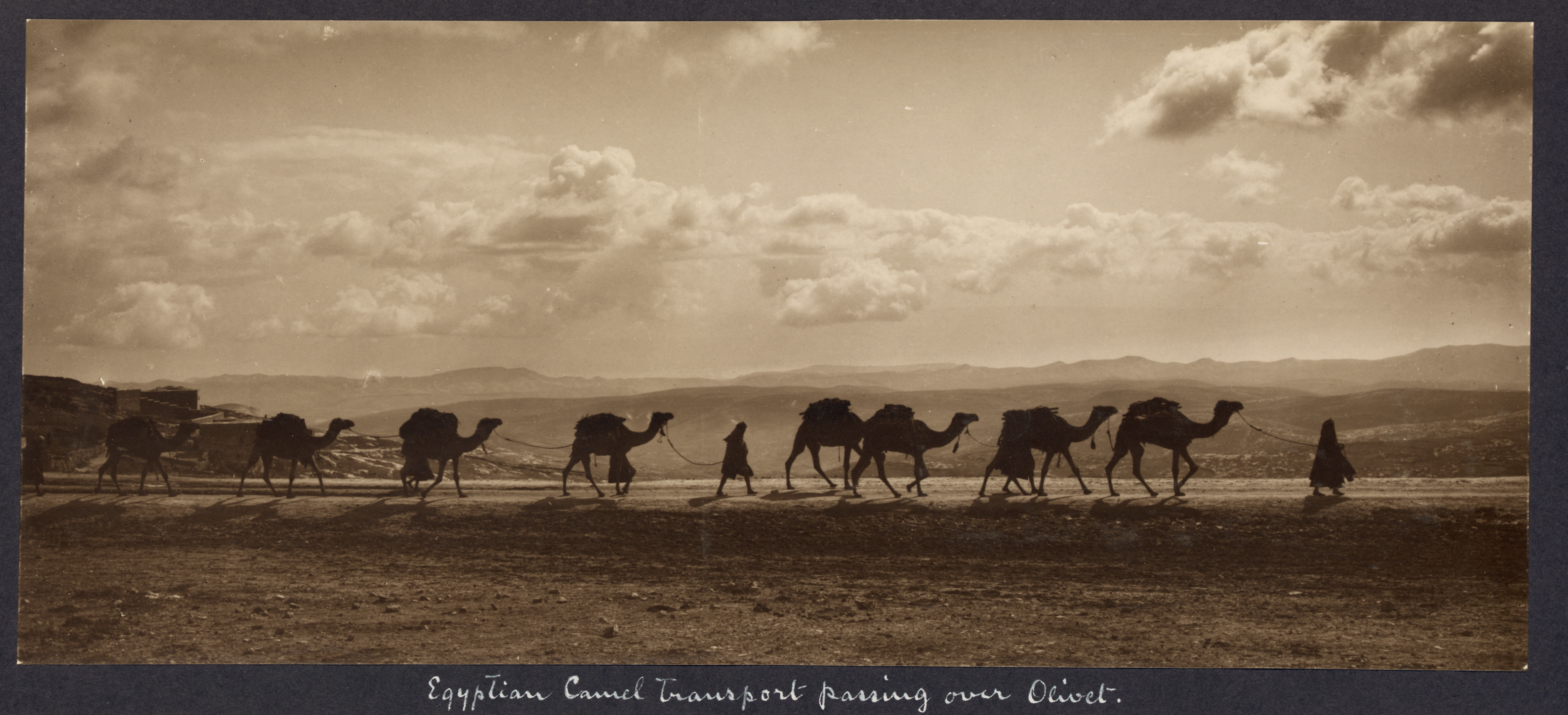 Egyptian camel transport