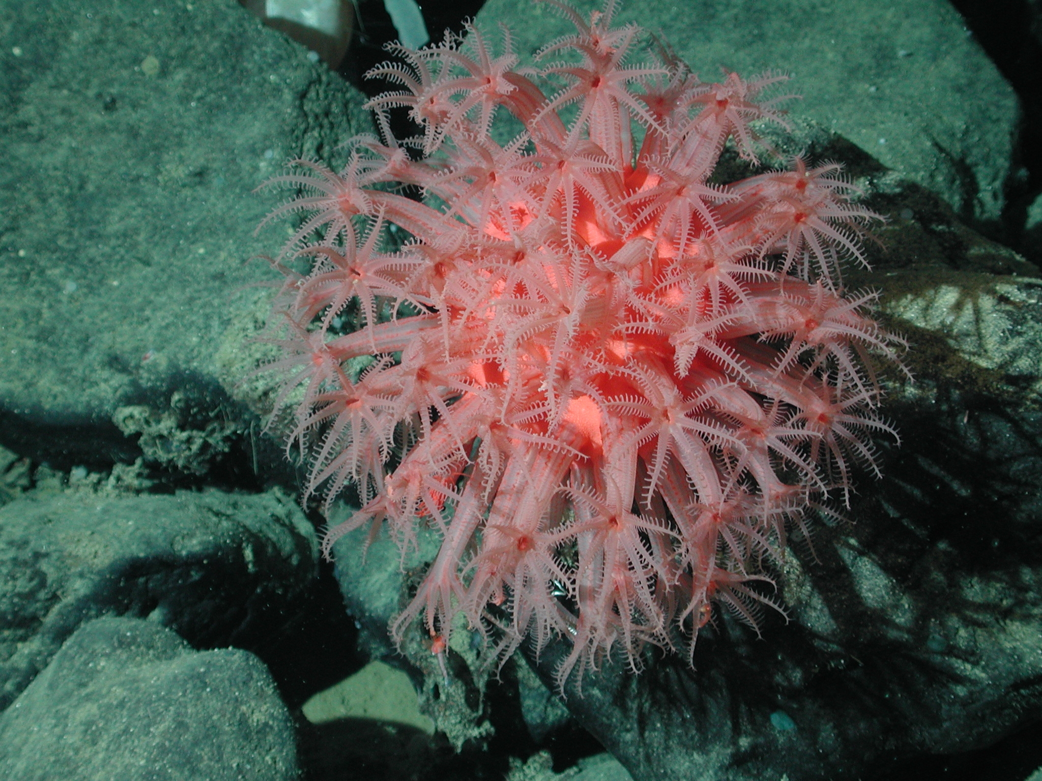 Expl0799 - Flickr - NOAA Photo Library