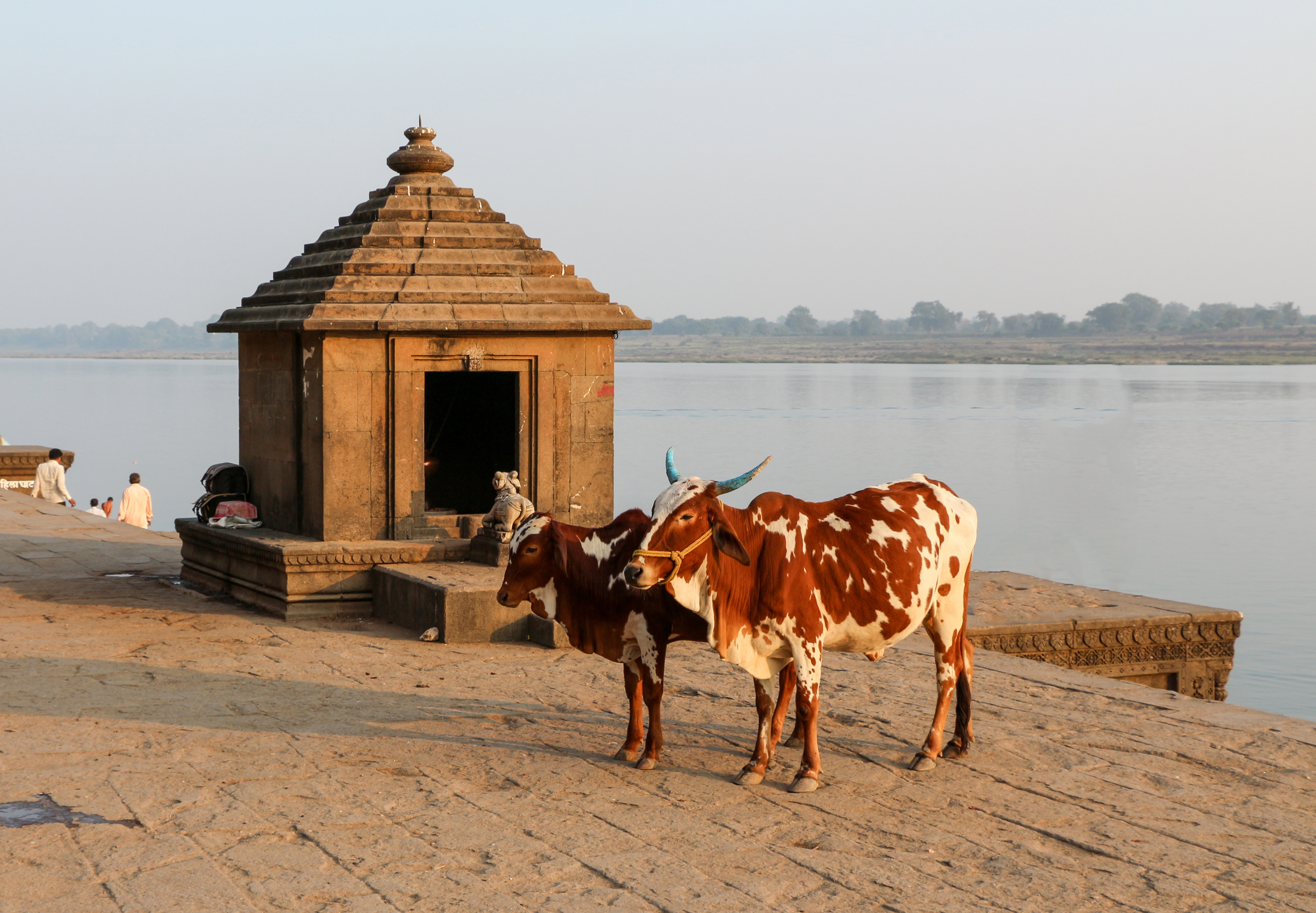 Ghats of Maheshwar 01