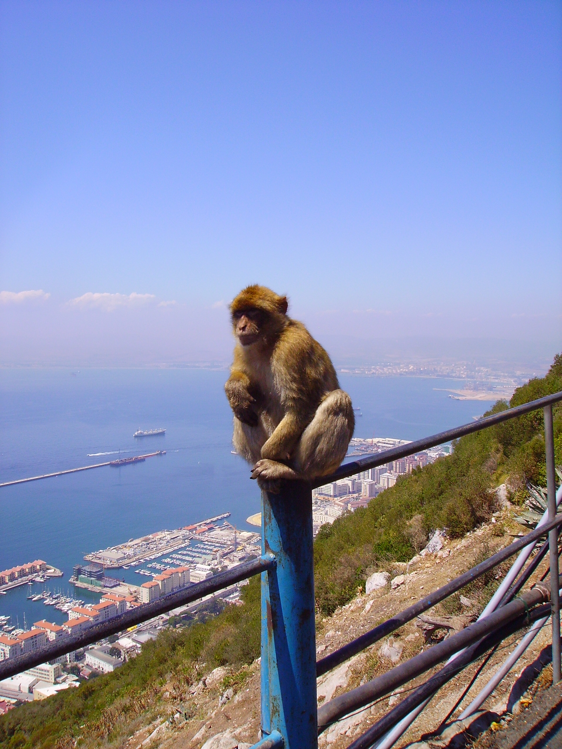Gibraltar GM 2008 (45)