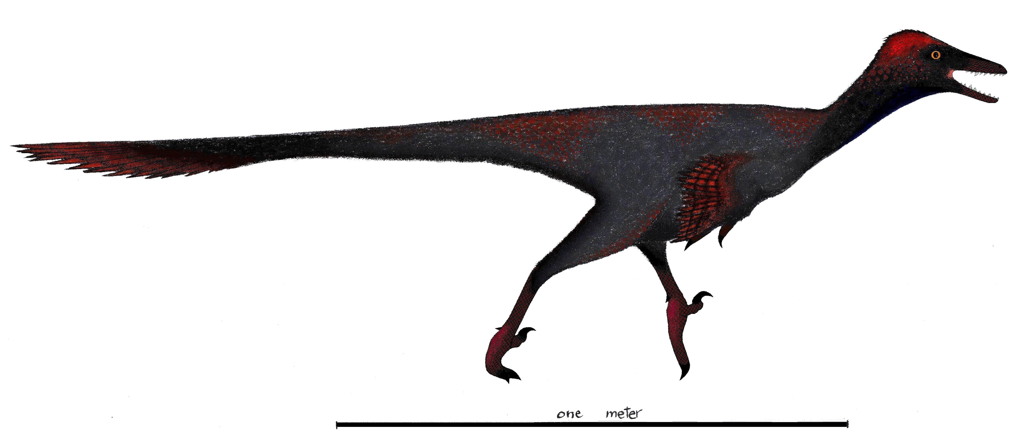 Gobivenator Restoration