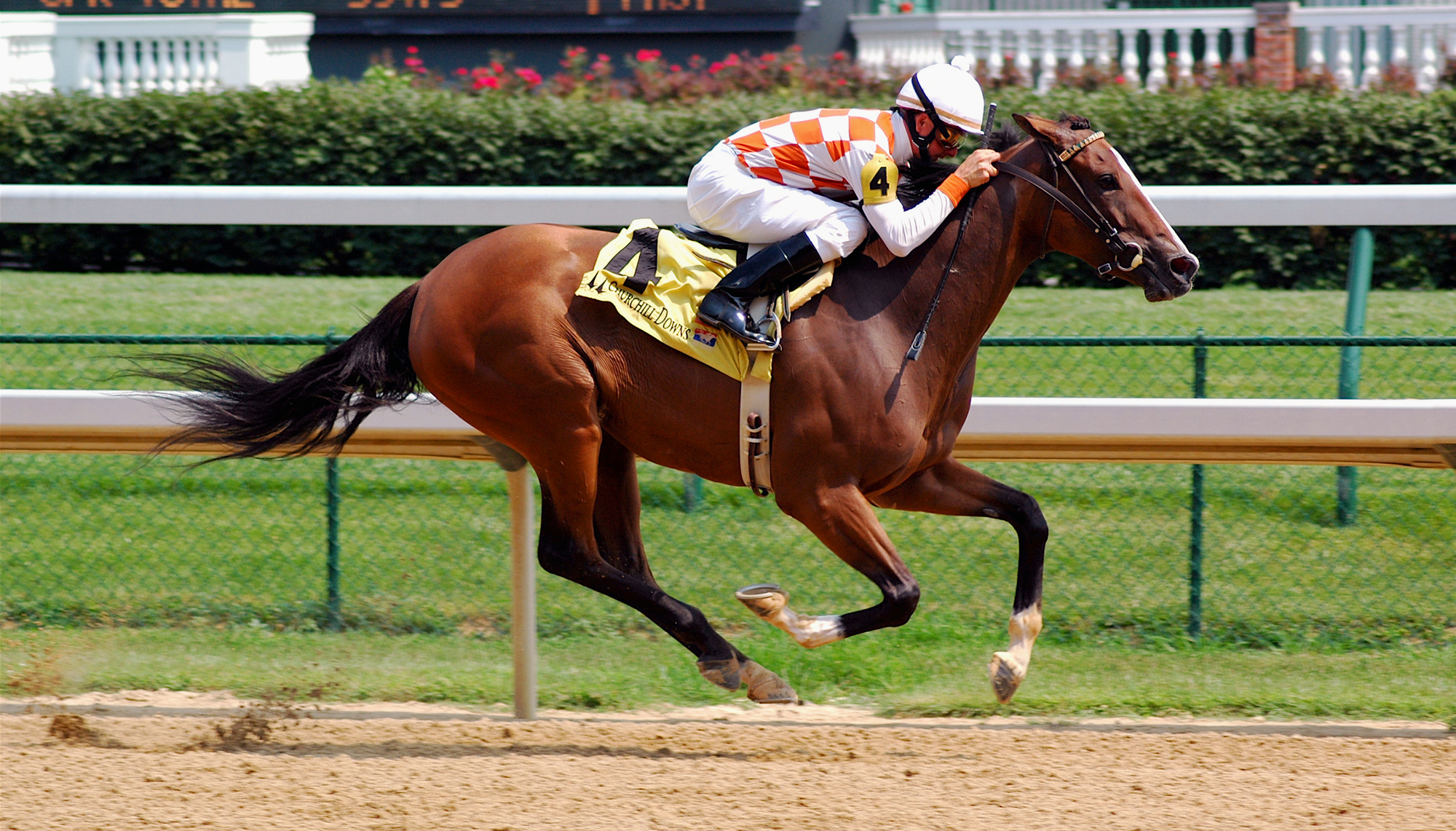 Horseracing Churchill Downs edit