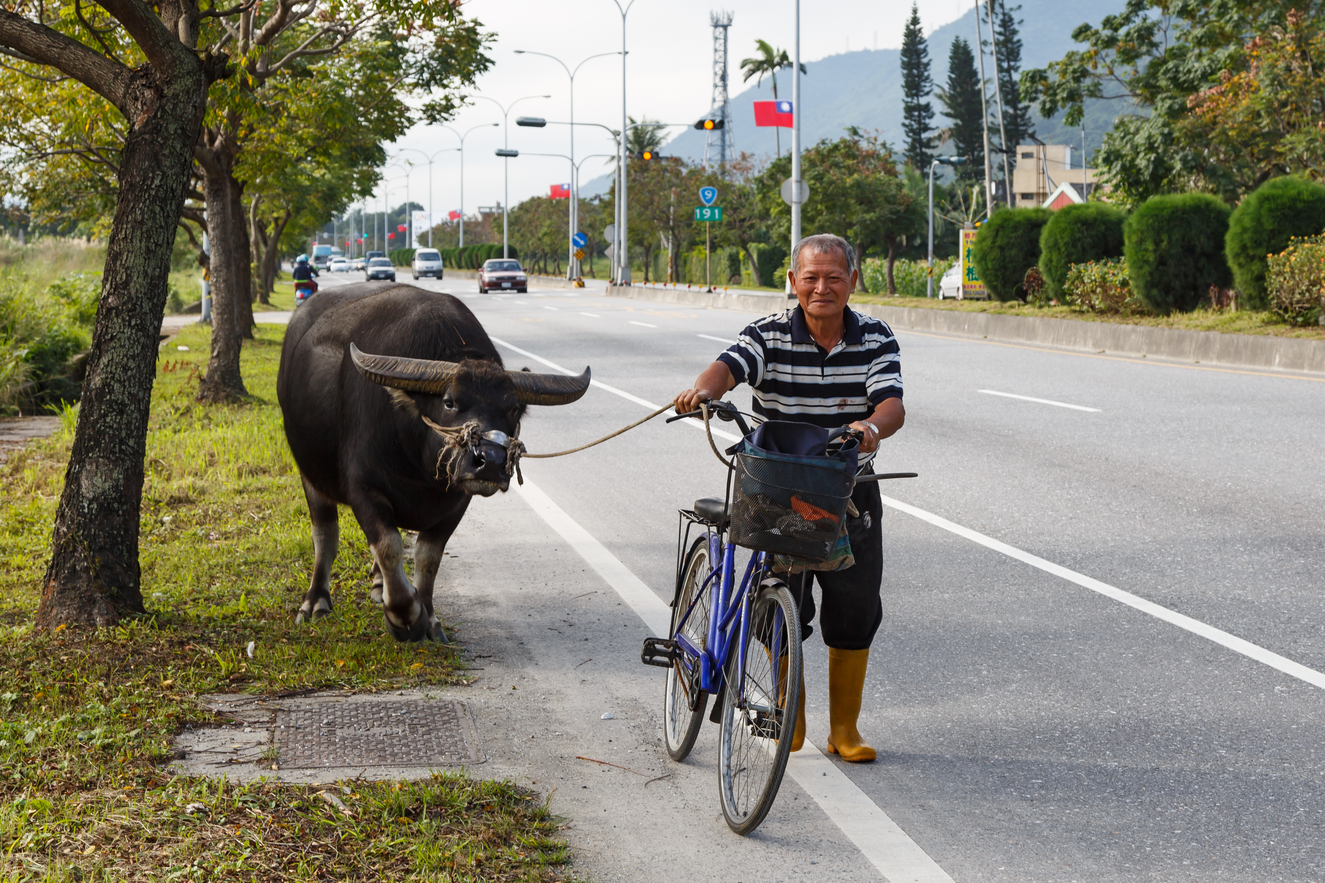 Hualien Taiwan Farmer-with-his-water-buffalo-01