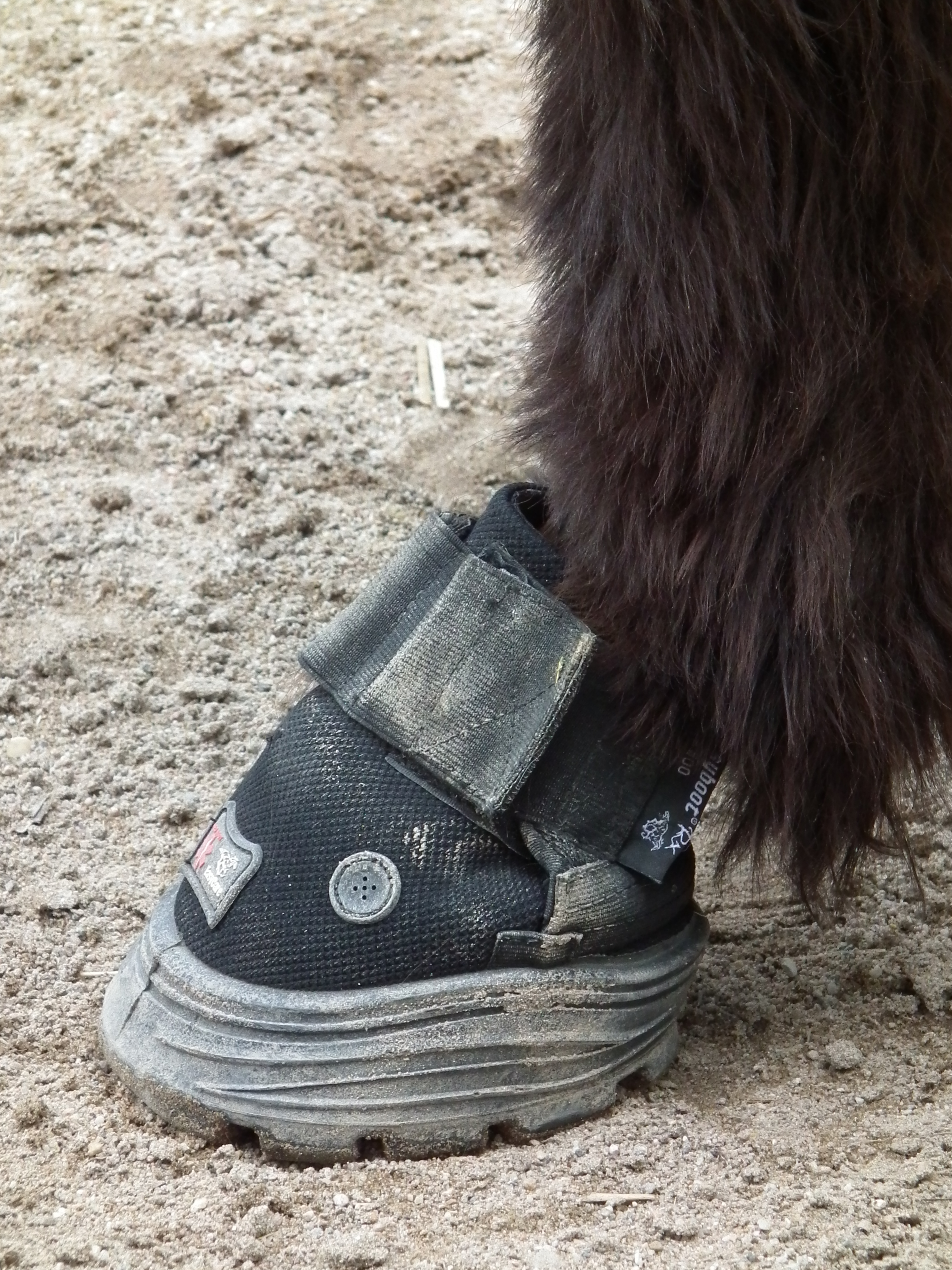 Hufschuh Easycare
