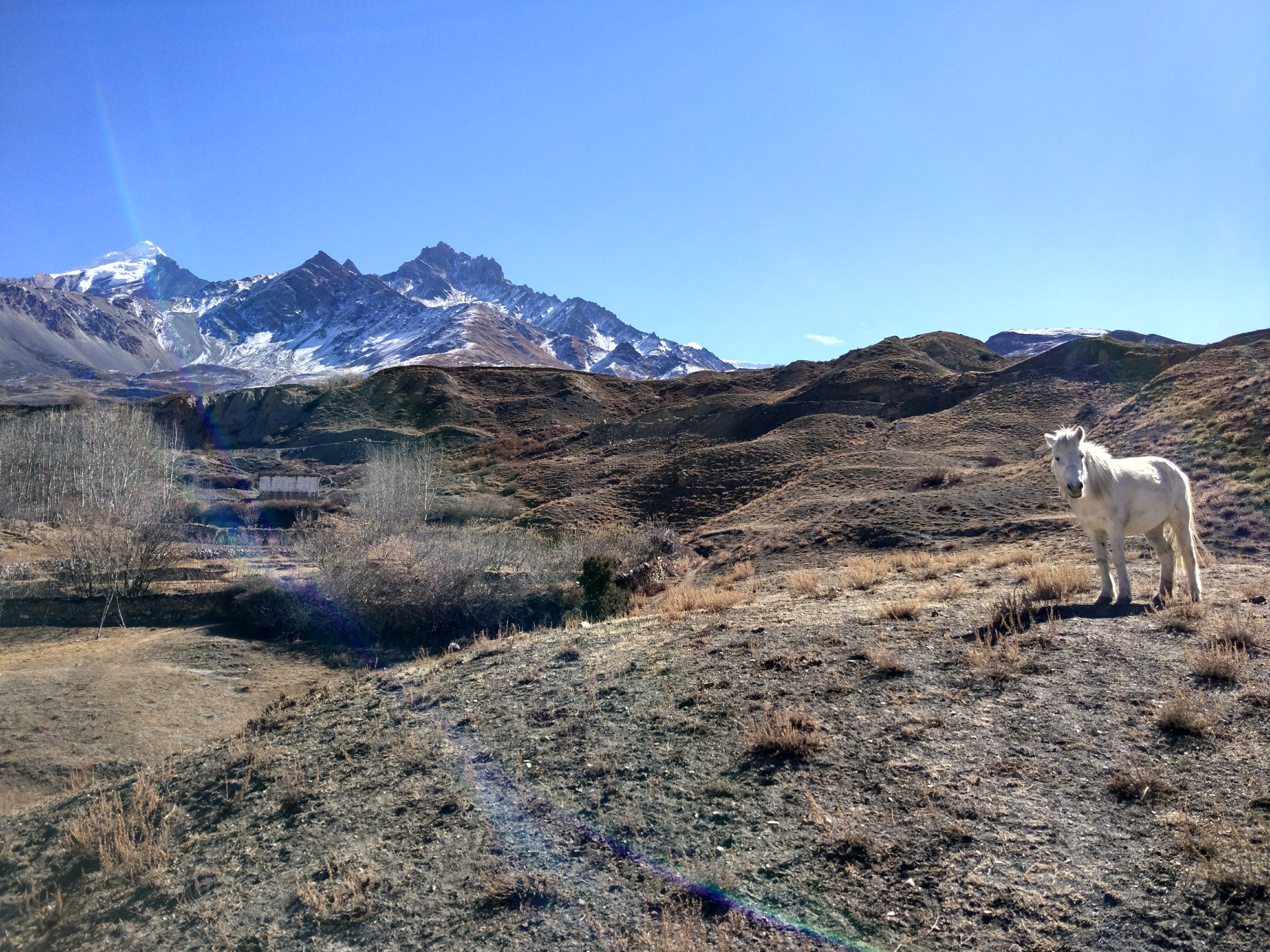 IMG 20171214 122158 HDR