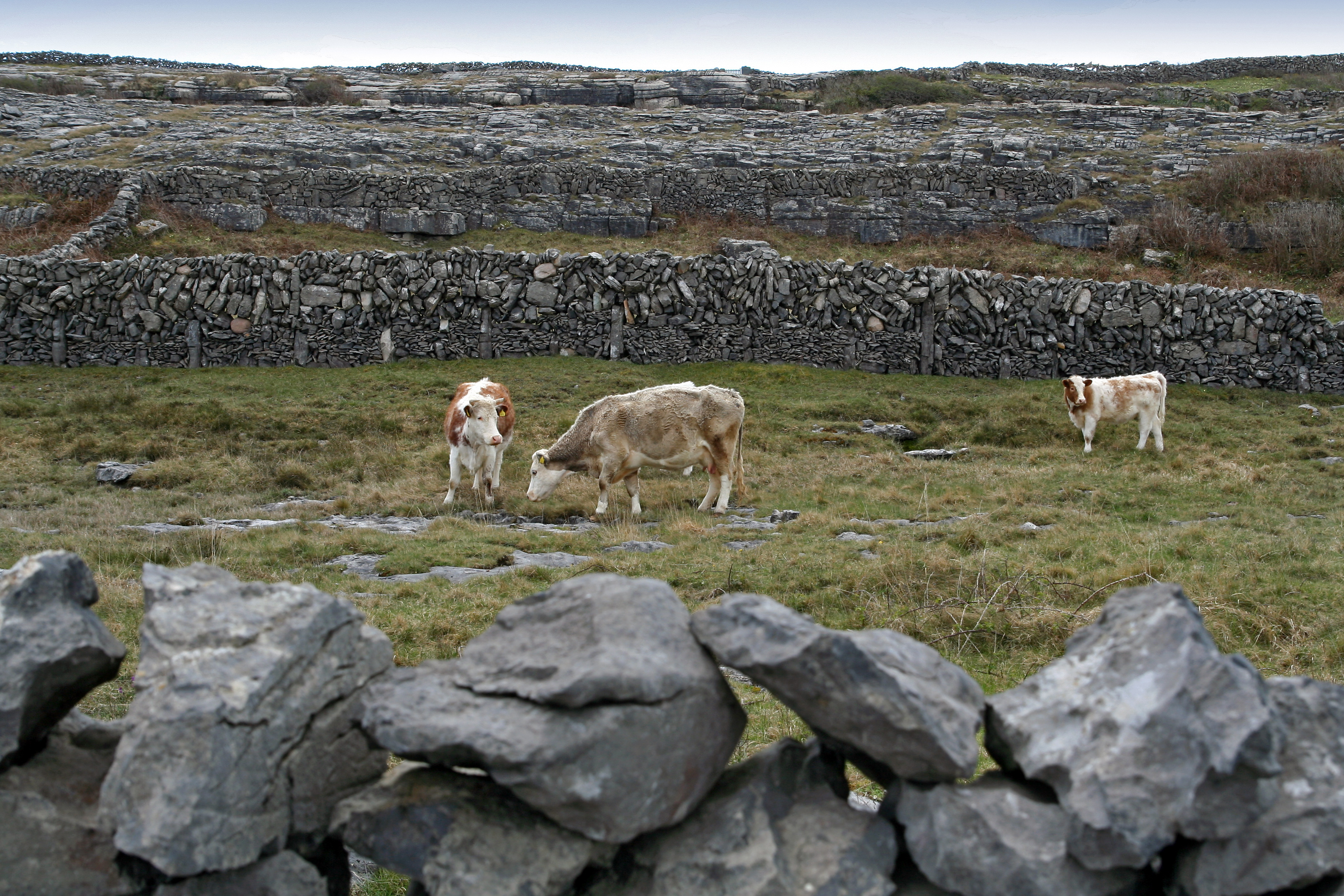 Inishmore - 016