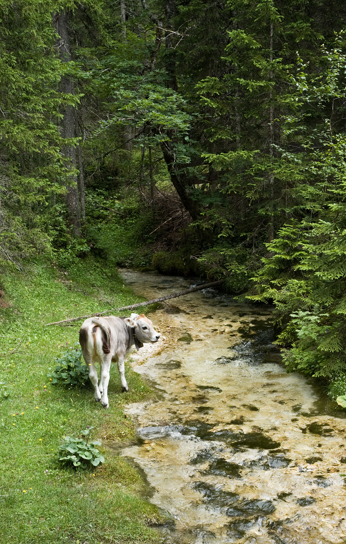 Isar Ursprung Hinterautal