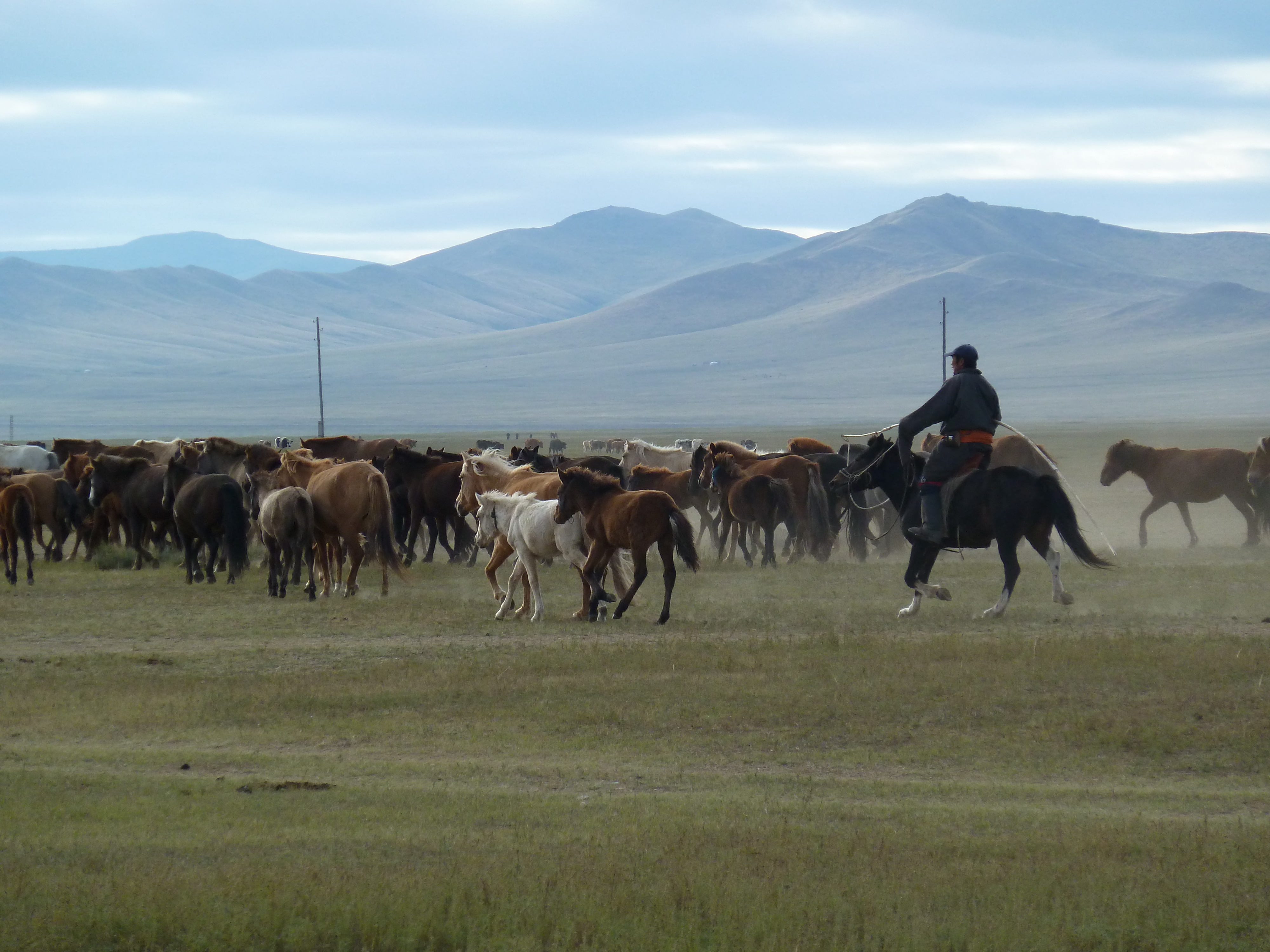Khustain Nuruu National Park (7)