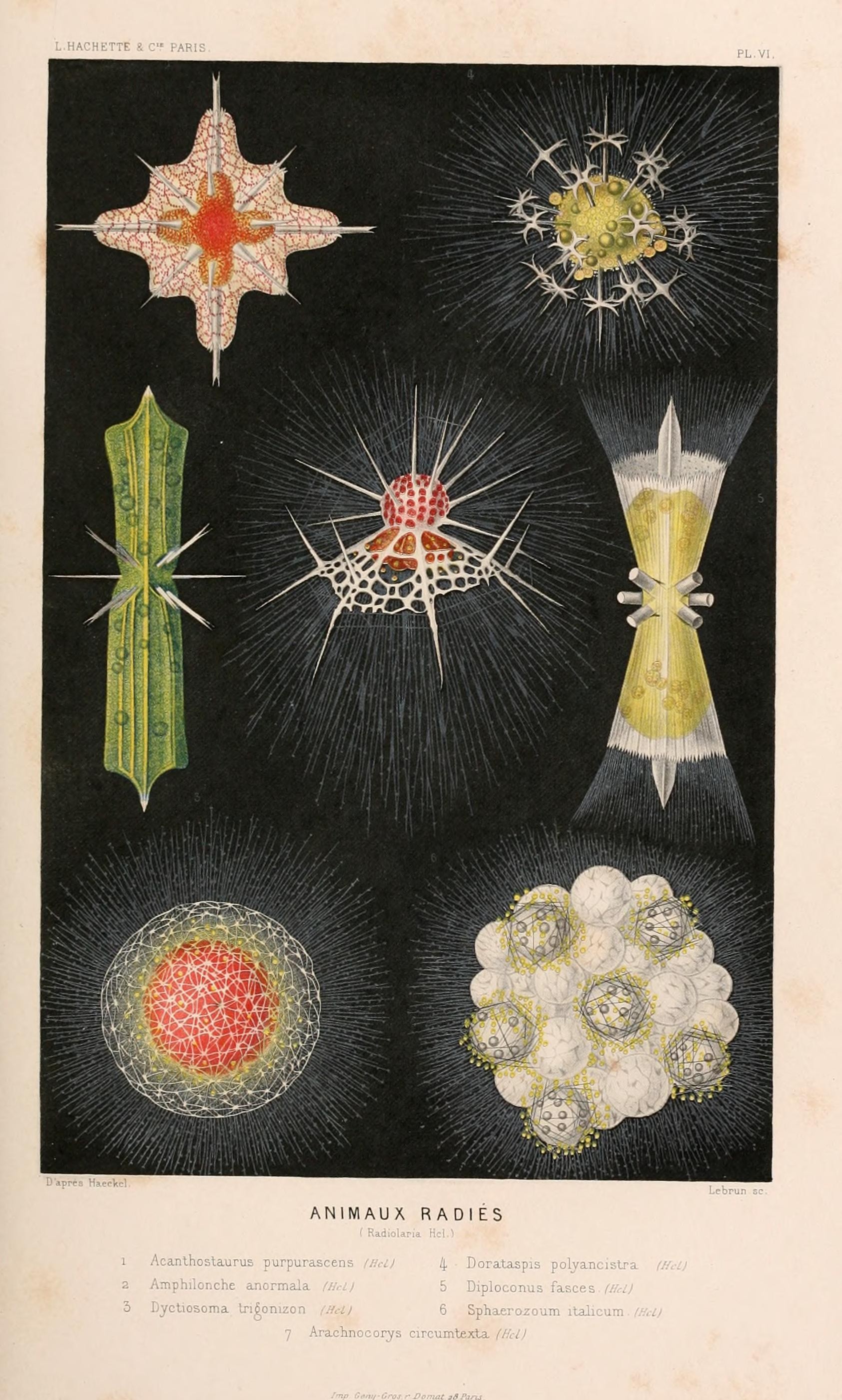 Le monde de la mer (Pl. VI) (8203822042)