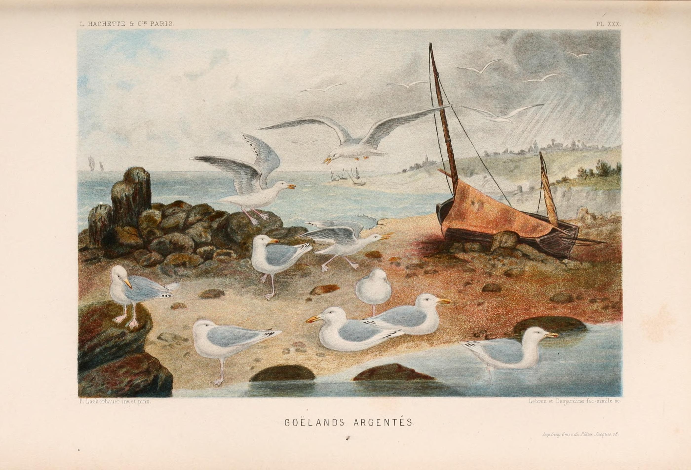 Le monde de la mer (Pl. XXX) (8202745861)