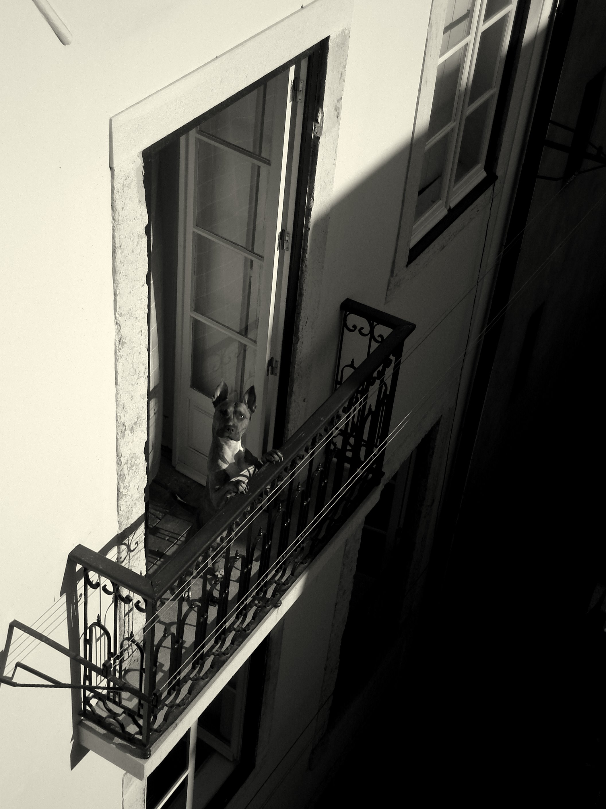 Lisboa Story (1161670155)