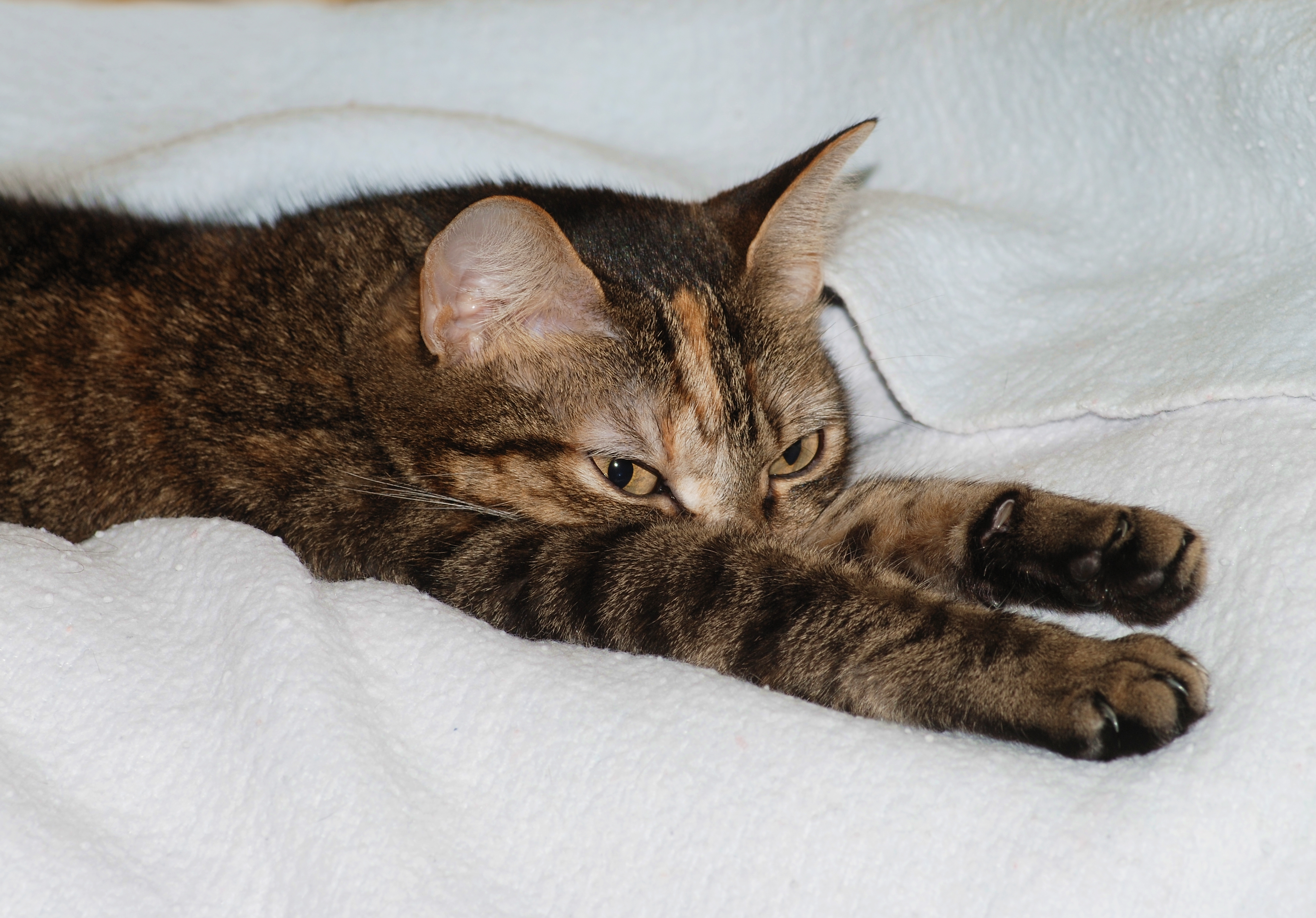 Mya November 2008-1