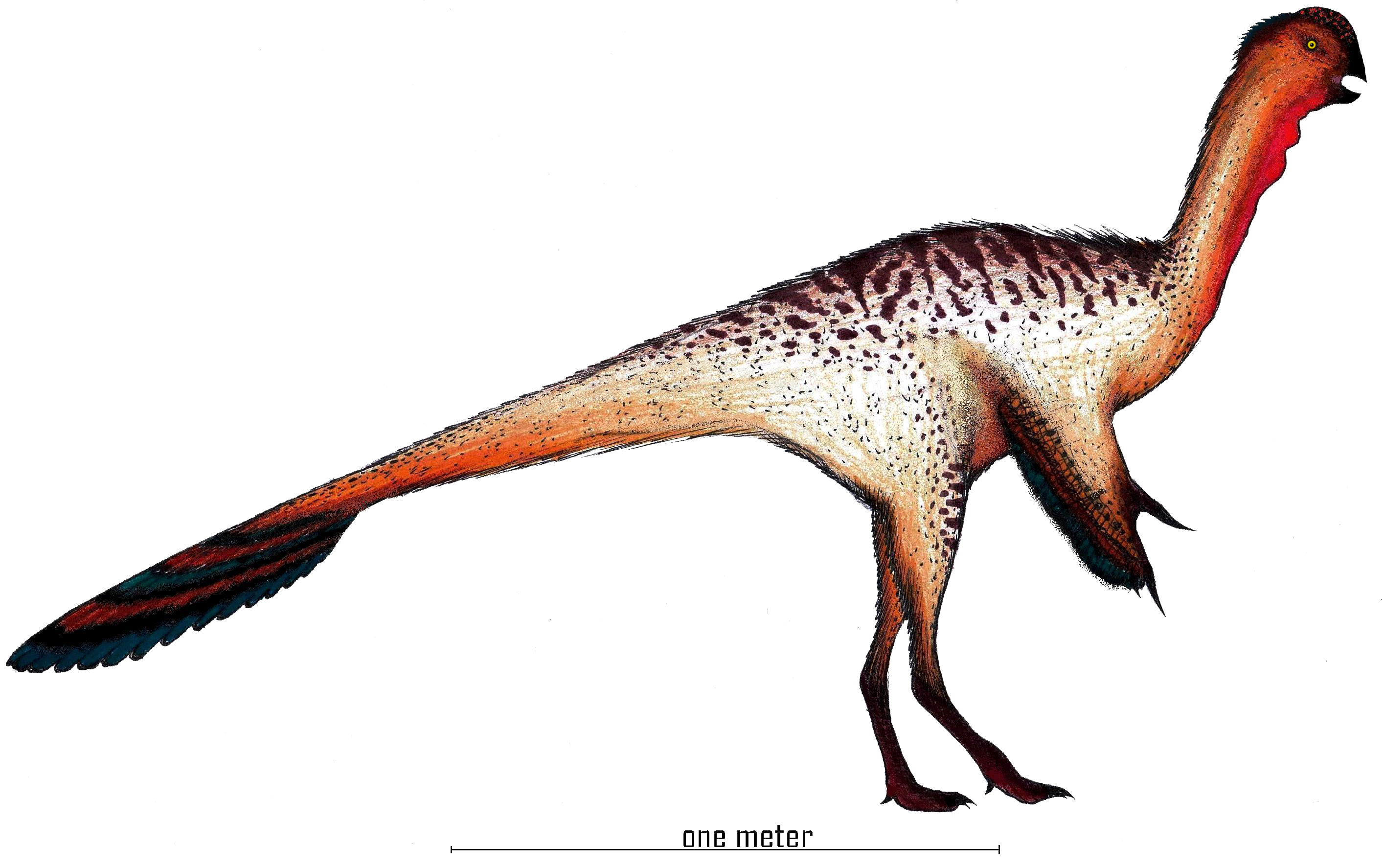 Nankangia Restoration