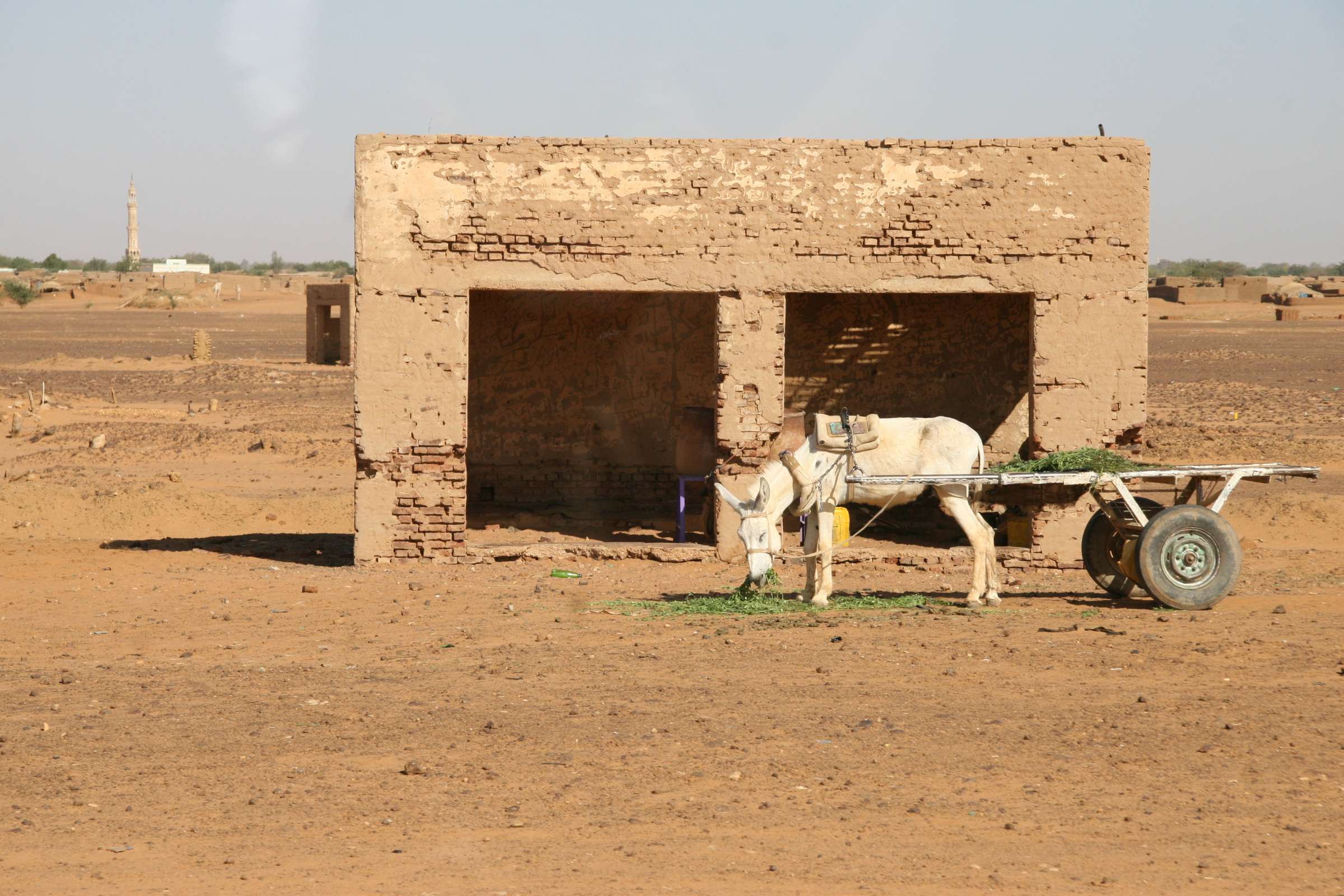 Nubia- 2008- contesto