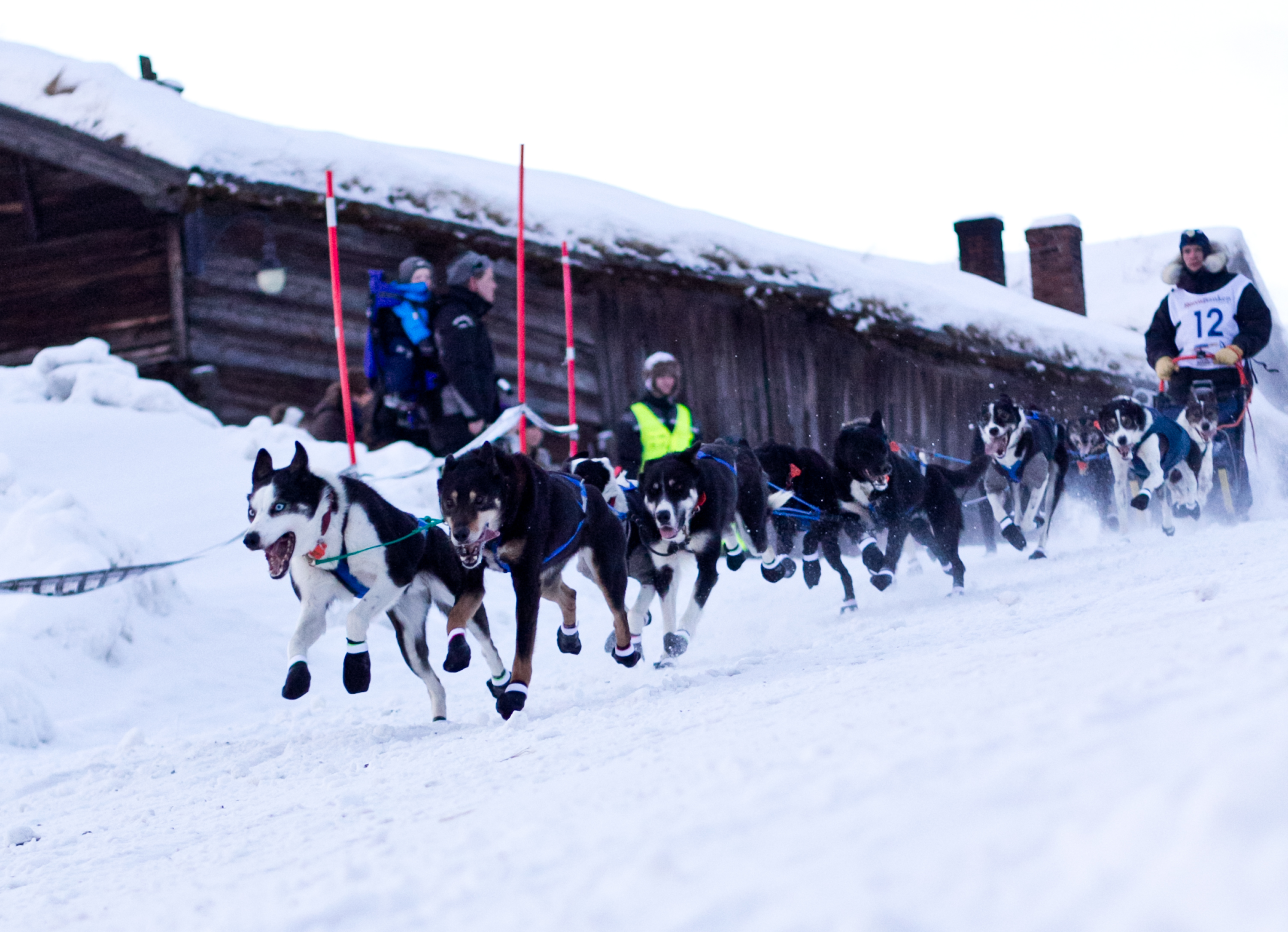 Ola Martinsen (8435434161)