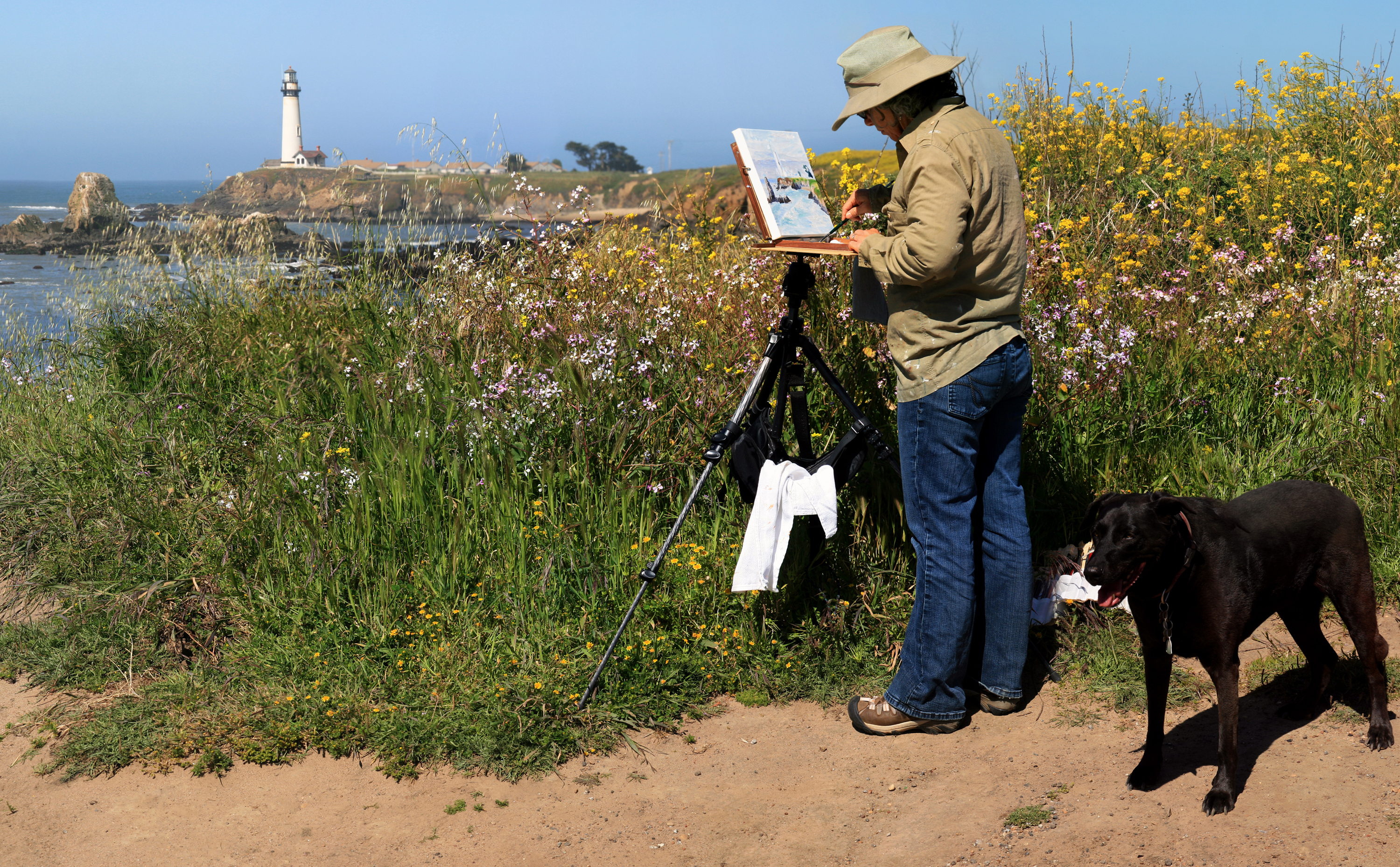 Pigeon Point Lighthouse 2 
