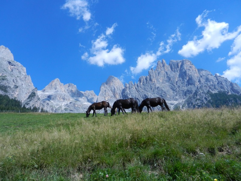 ...liberi liberi siamo noi... - panoramio