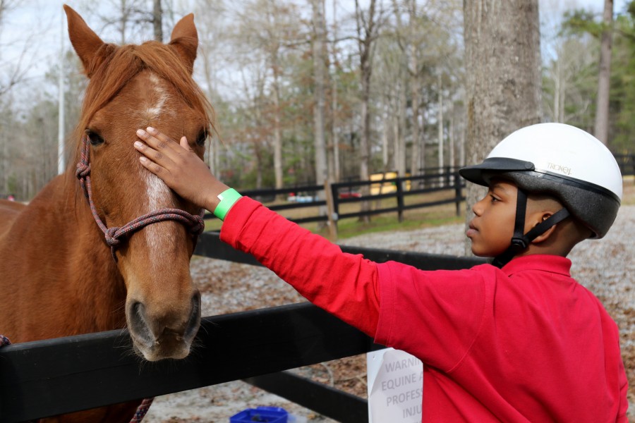 A horse, friend 170318-A-ZG886-251