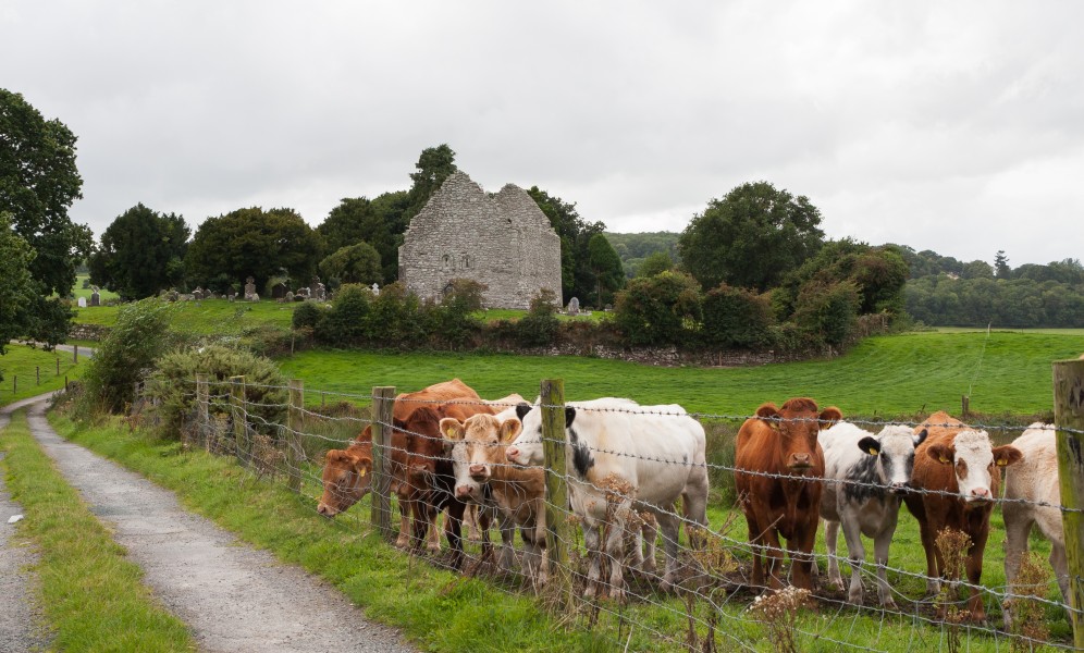 Aghowle Church and Enclosure E 2016 09 11