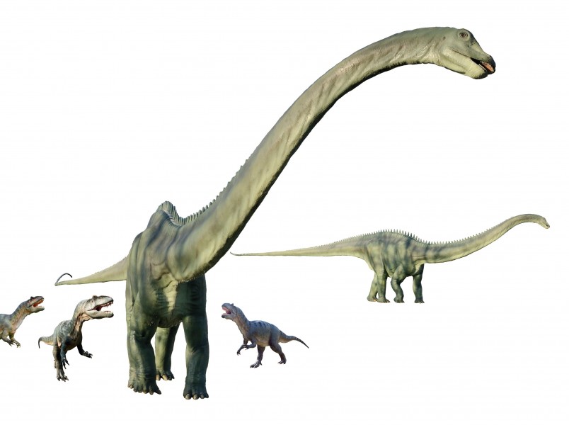 Allosaurus vs Diplodocus diorama