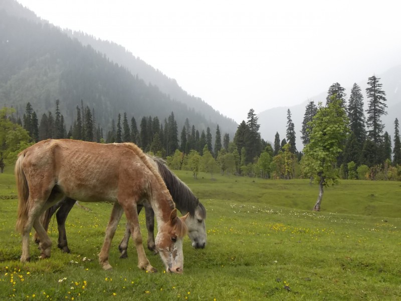 Arang Kel Valley