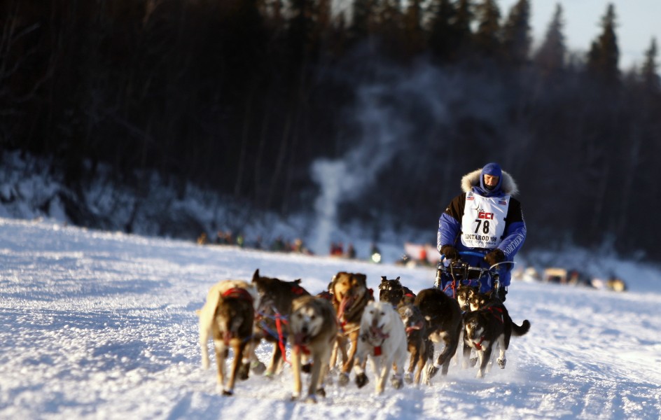 Army dogsledder