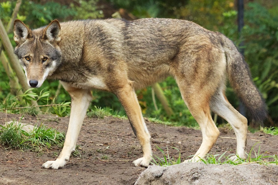 Bartel USFWS pdza rw7